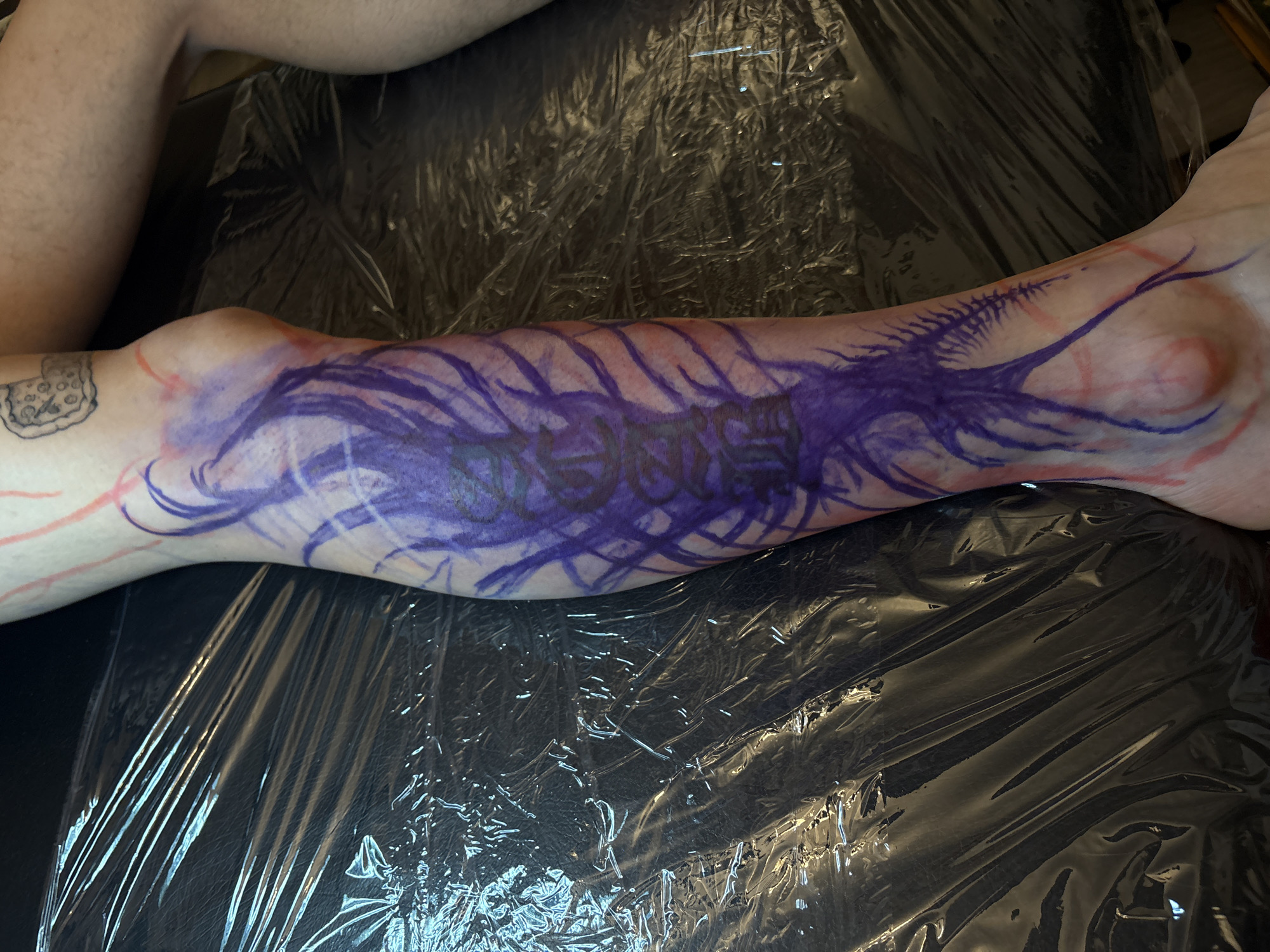Tattoo session documented in Belgrade, Serbia