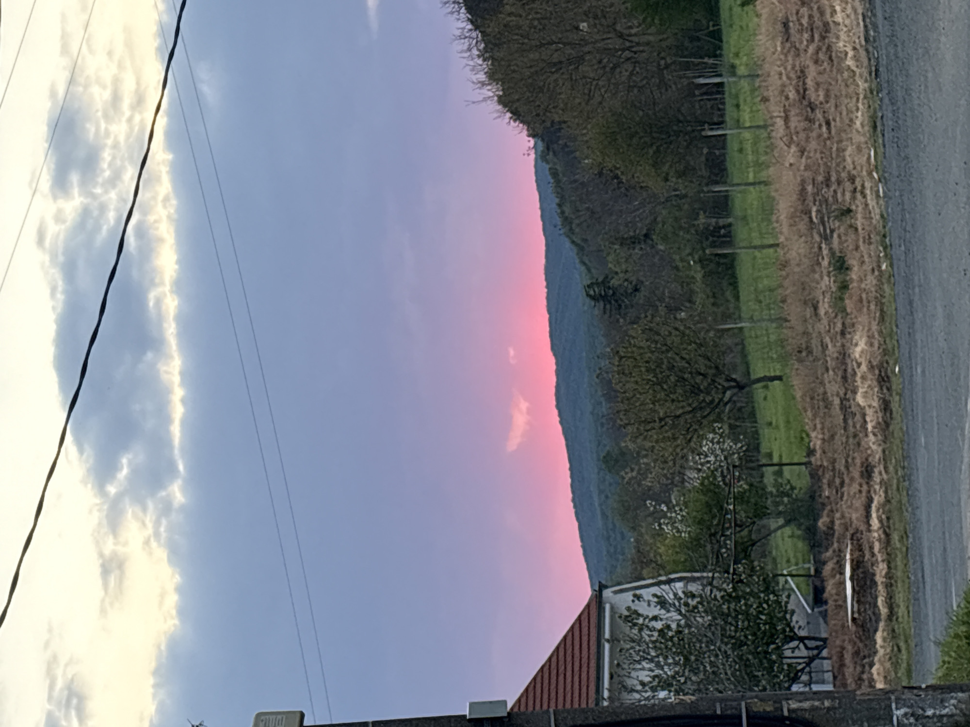 Small bird spotted squawking at dusk in Bulgarian village