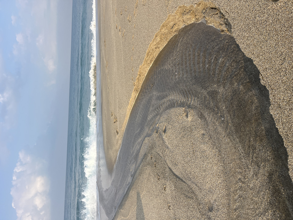 Early morning beach walk documented in Alanya, Turkey