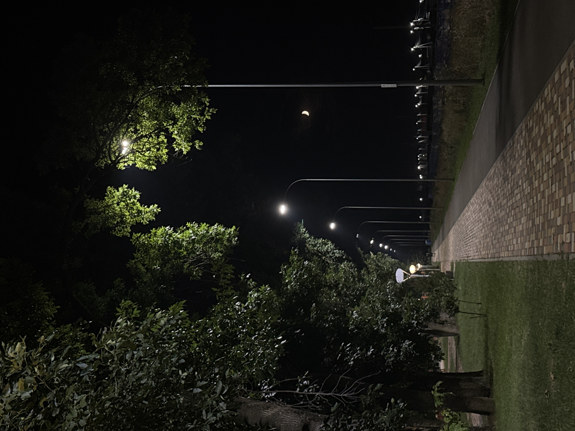 Evening park walk with an orange crescent moon overhead
