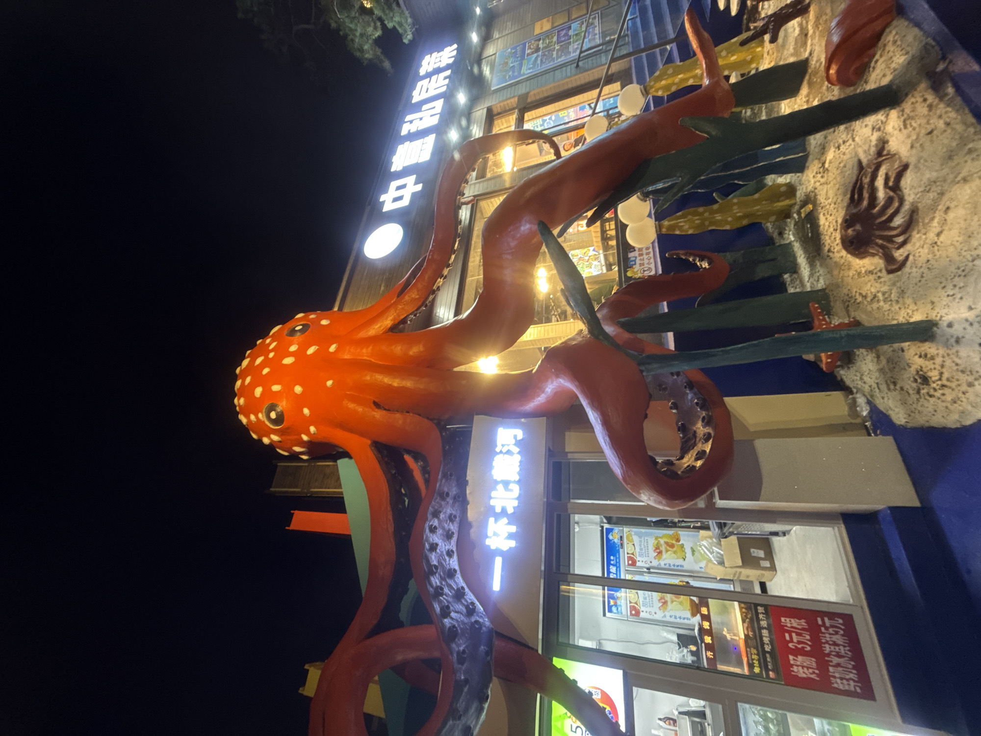 Illuminated venue and octopus sculpture light up Qinhuangdao night