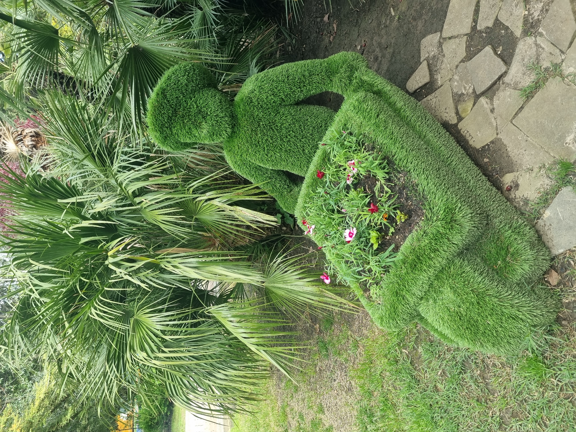 Morning stroll captures everyday Sochi park life and displays
