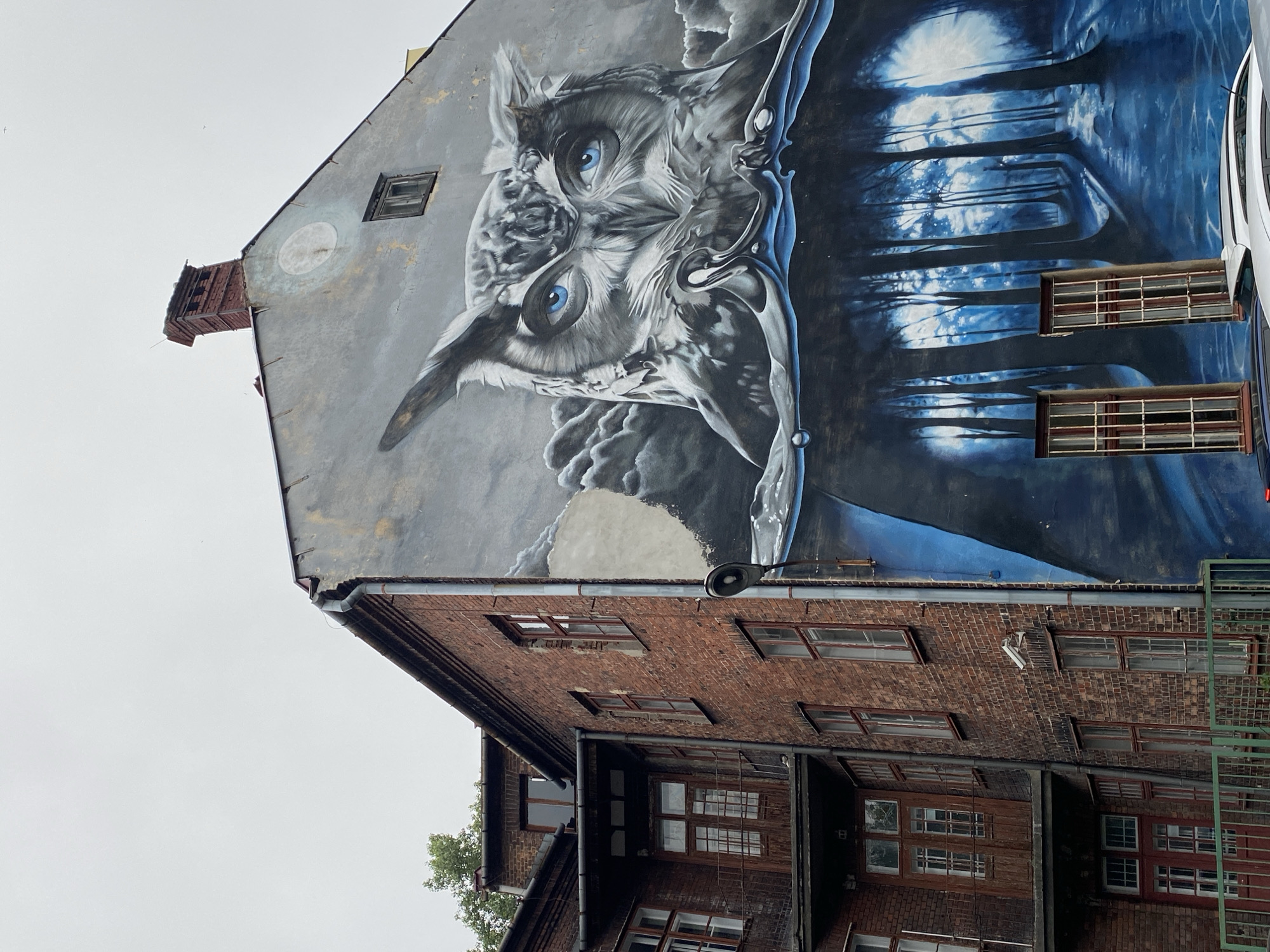 Street mural and vintage architecture in Bielsko-Biała