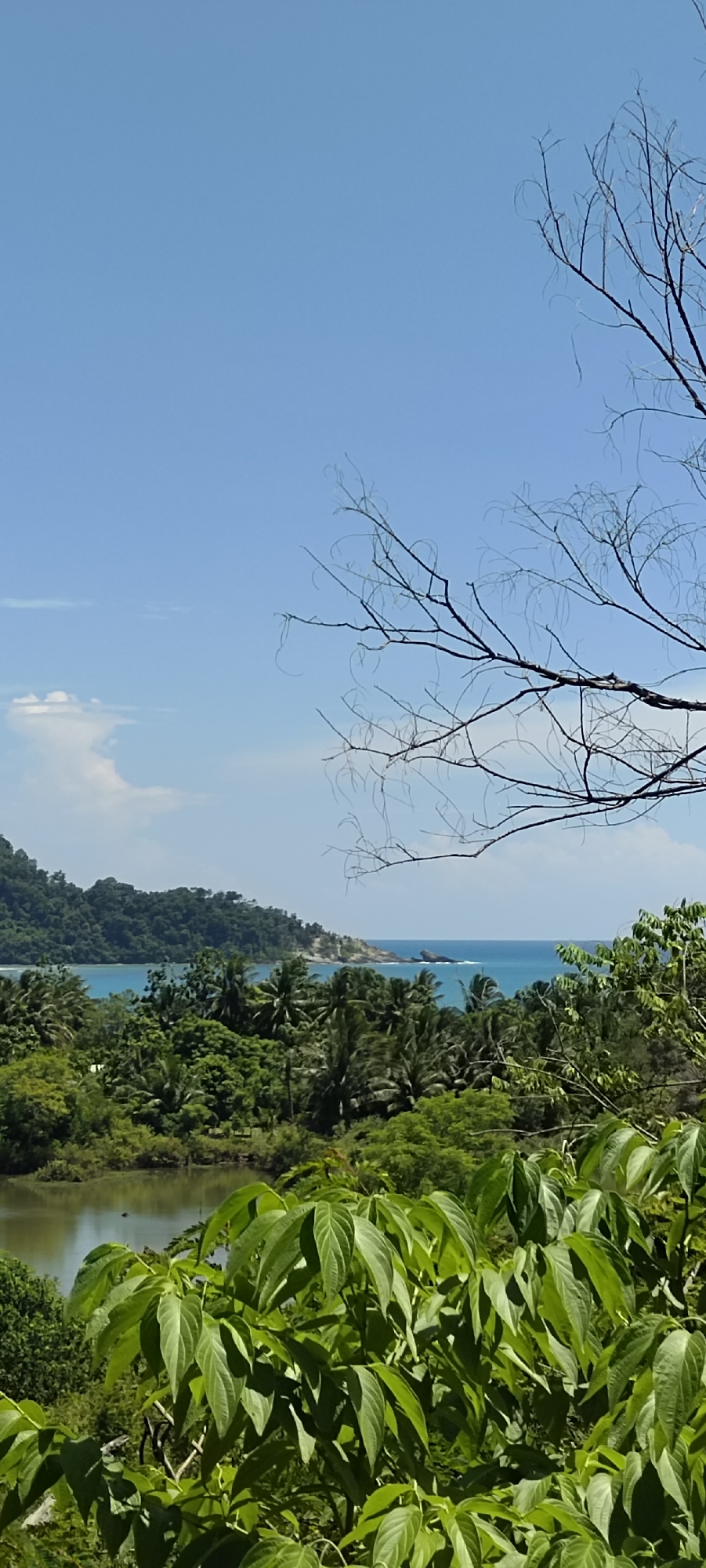 Coastal views and a dried fish stall in Layeun, Indonesia