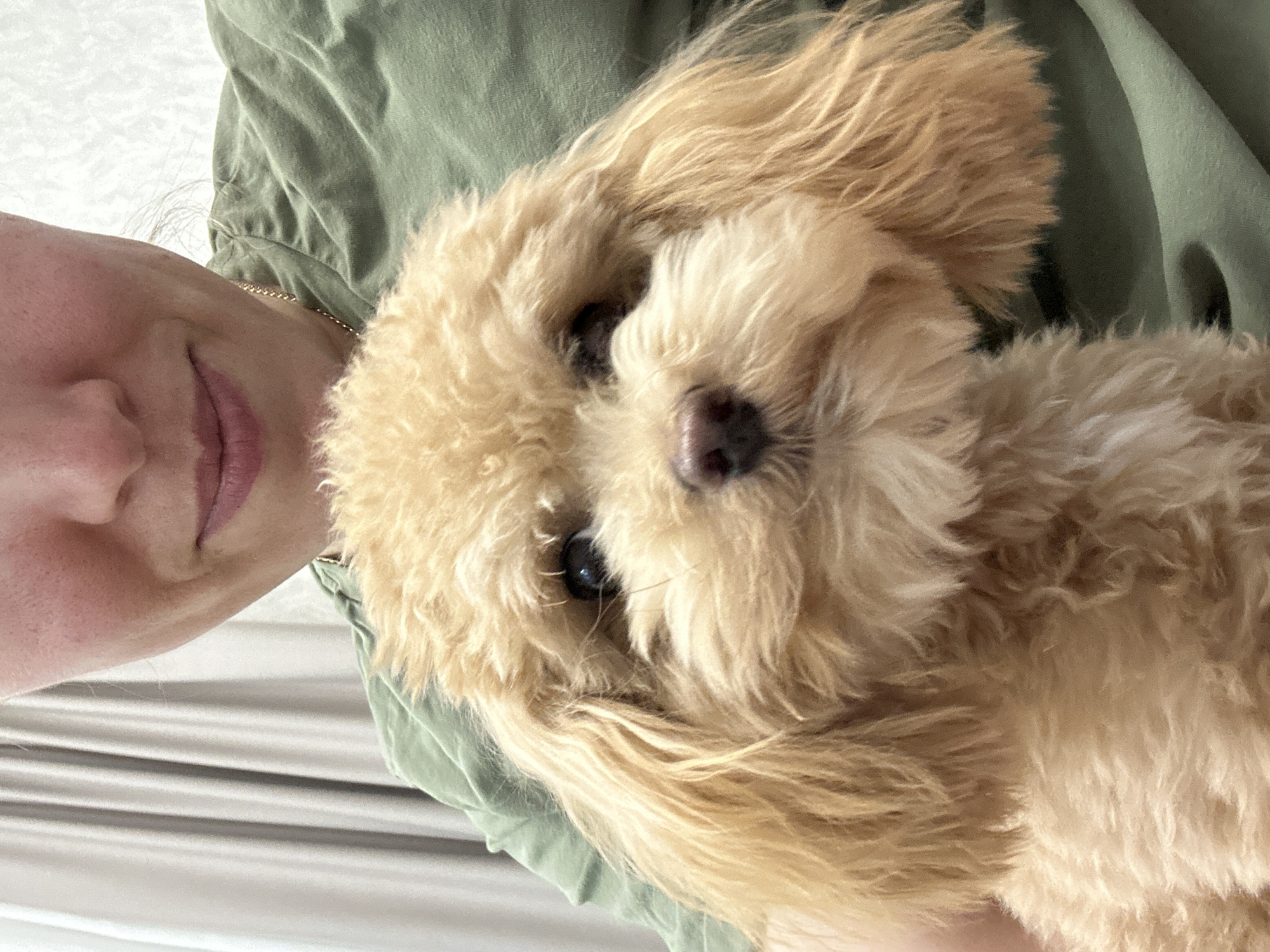 Person shares tender moments with small poodle in Russian village