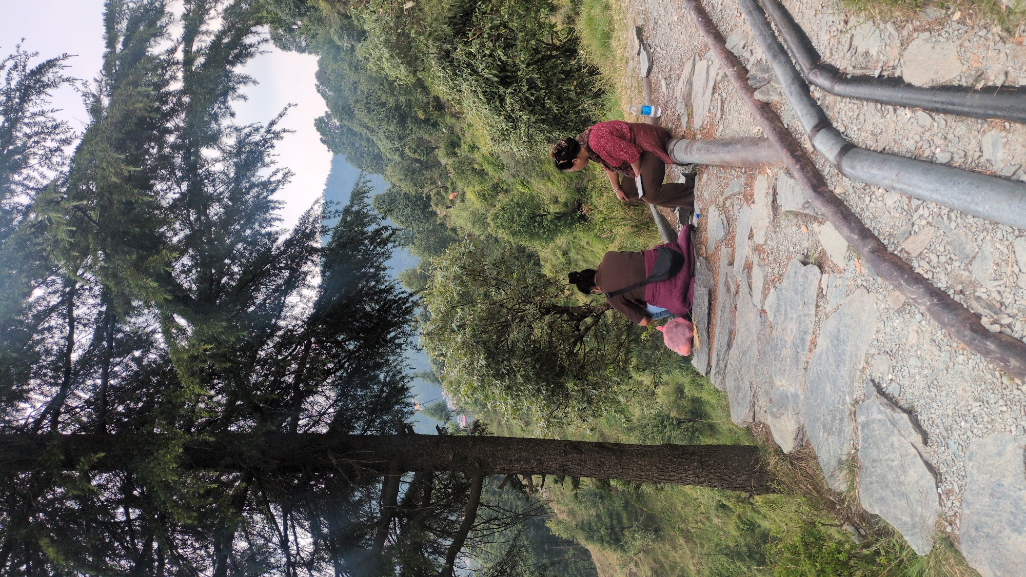 Morning life captured in Himalayan village of Bhagsu, India