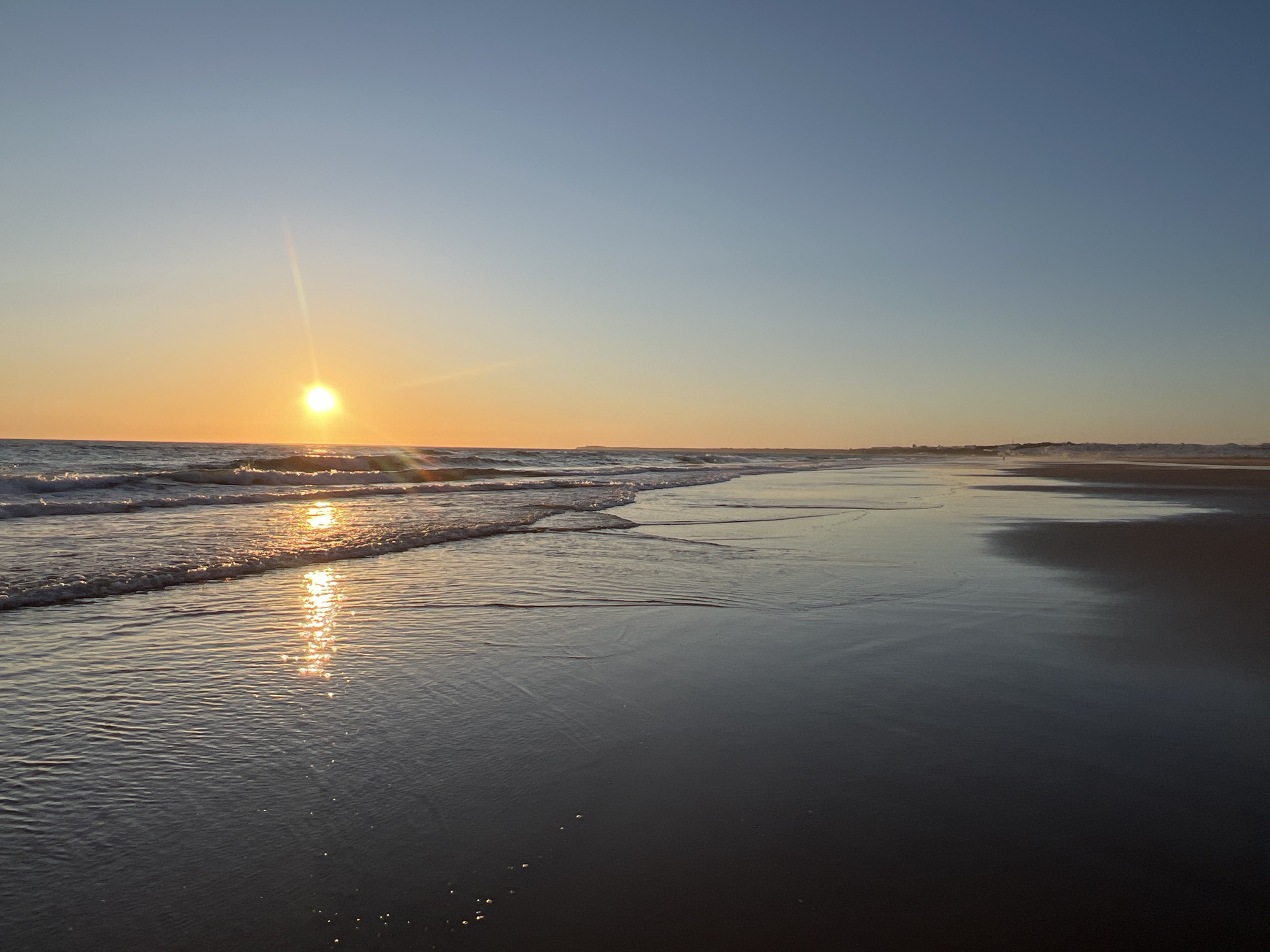 Dogs play in the surf at El Palmar during golden hour