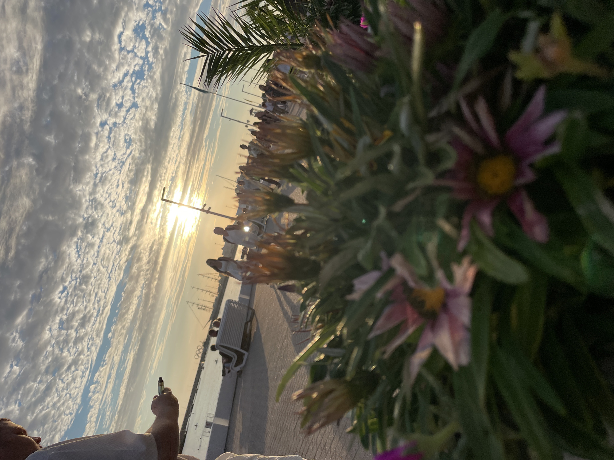 Summer evening on Sochi's Black Sea waterfront