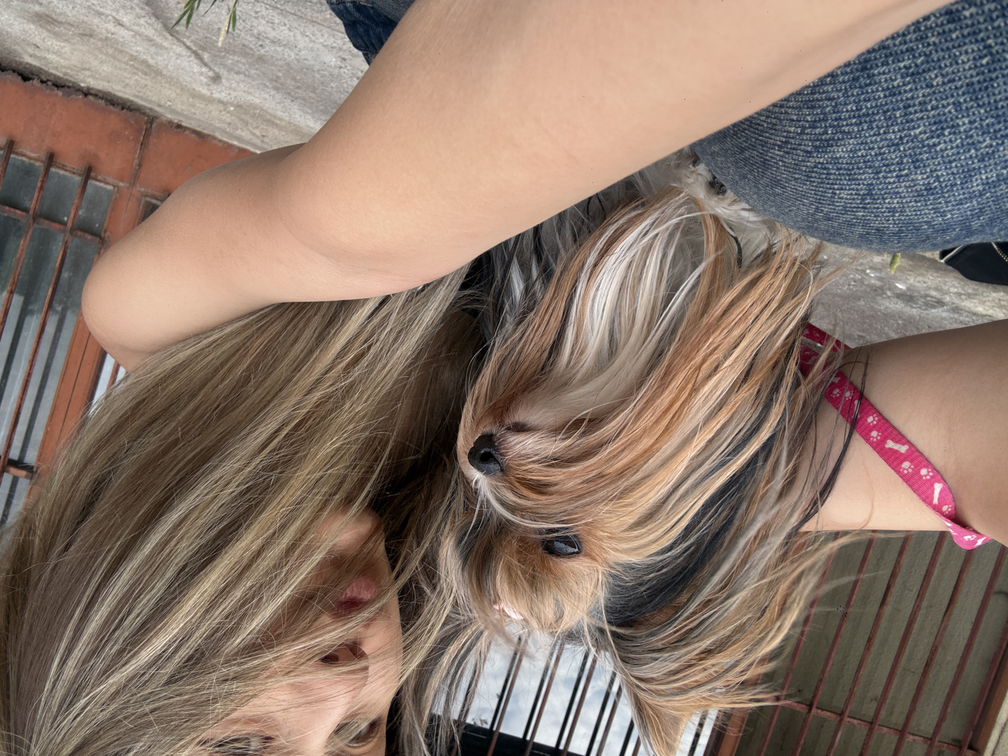 Woman and Yorkshire Terrier captured in casual moments, Sliven