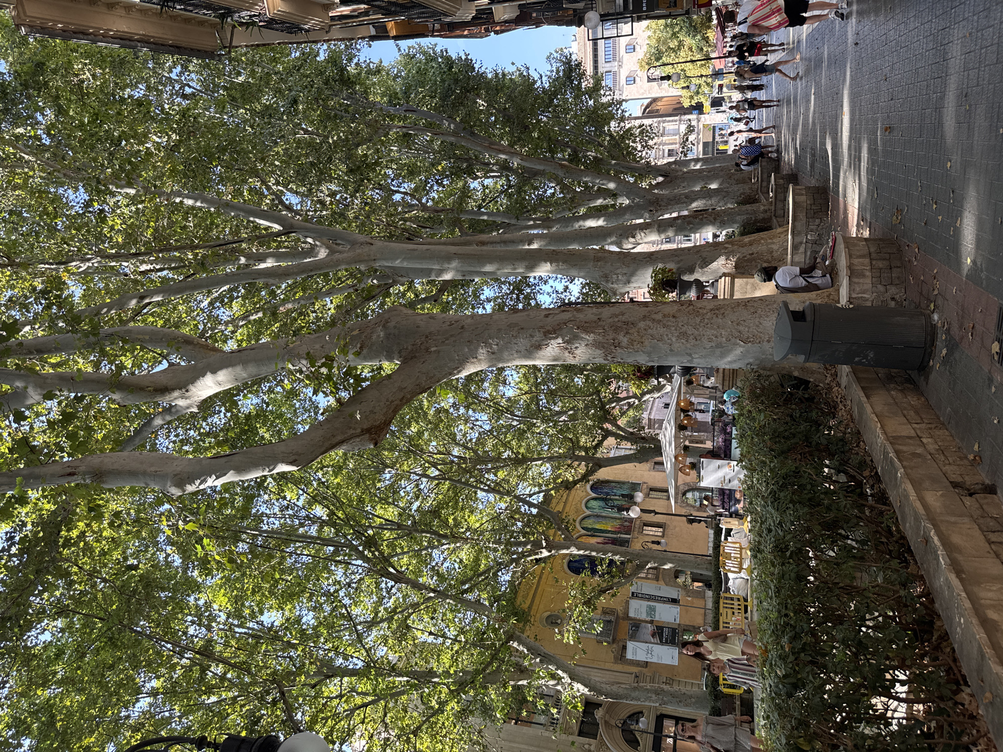 Palma, Spain