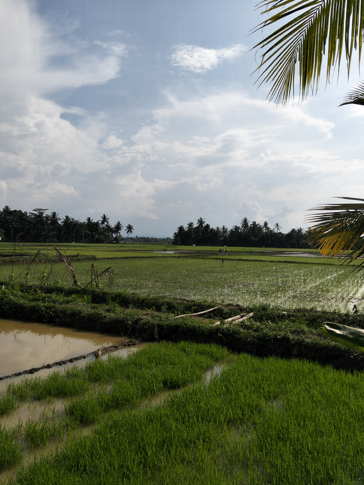 Bale, Indonesia