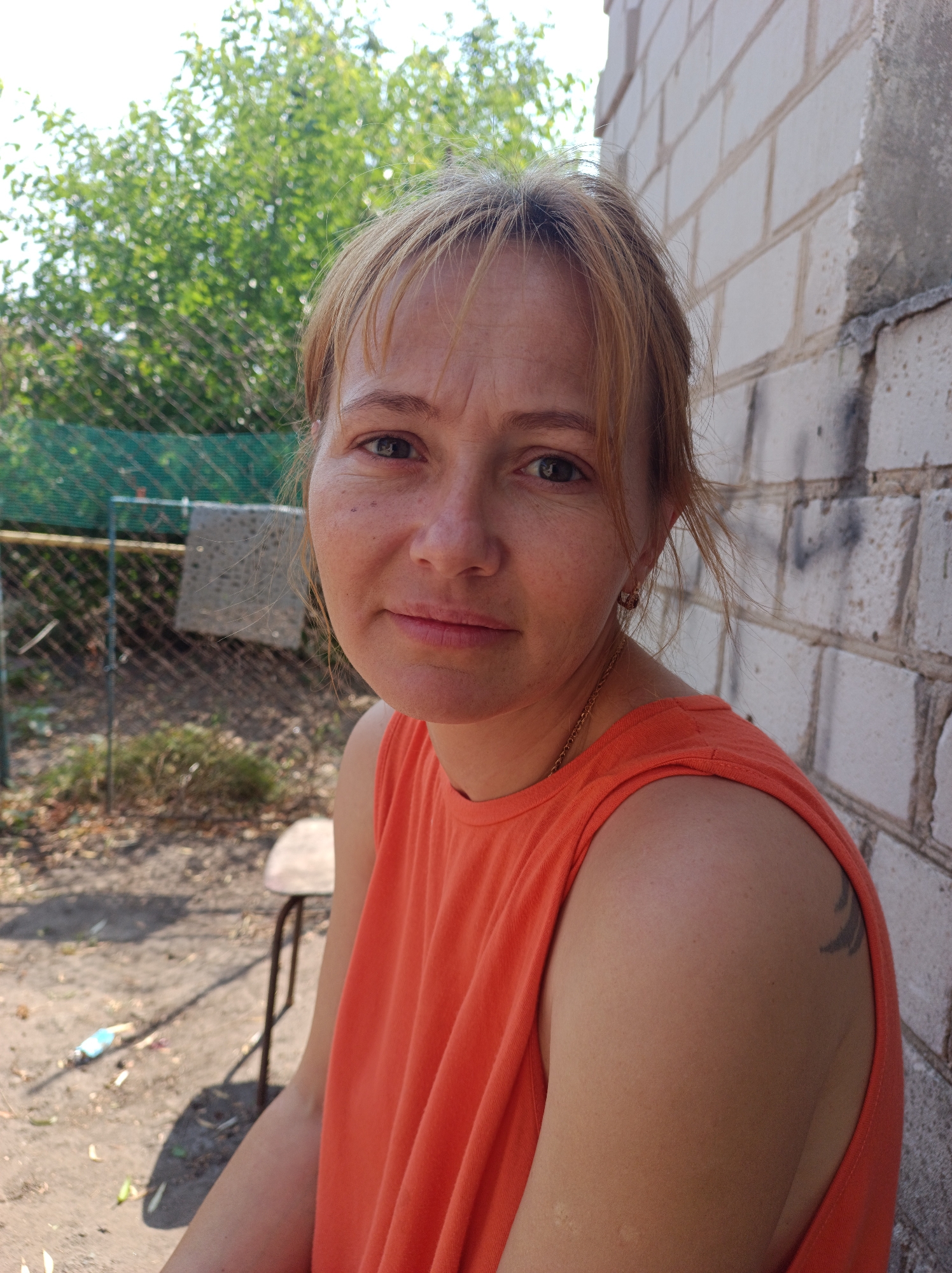 Summer afternoon in a Saksahan yard, grapes and a kitten