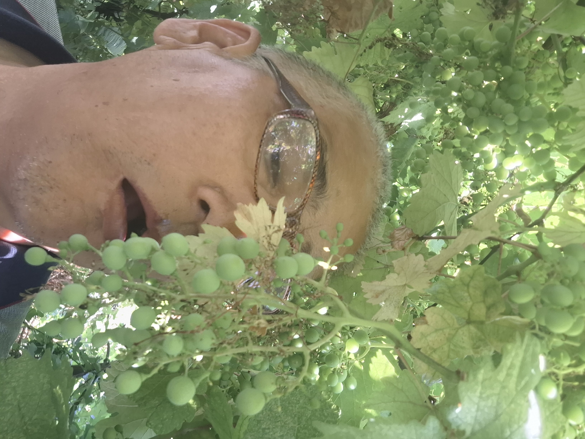 Morning stroll through a green Almaty garden with a warm greeting