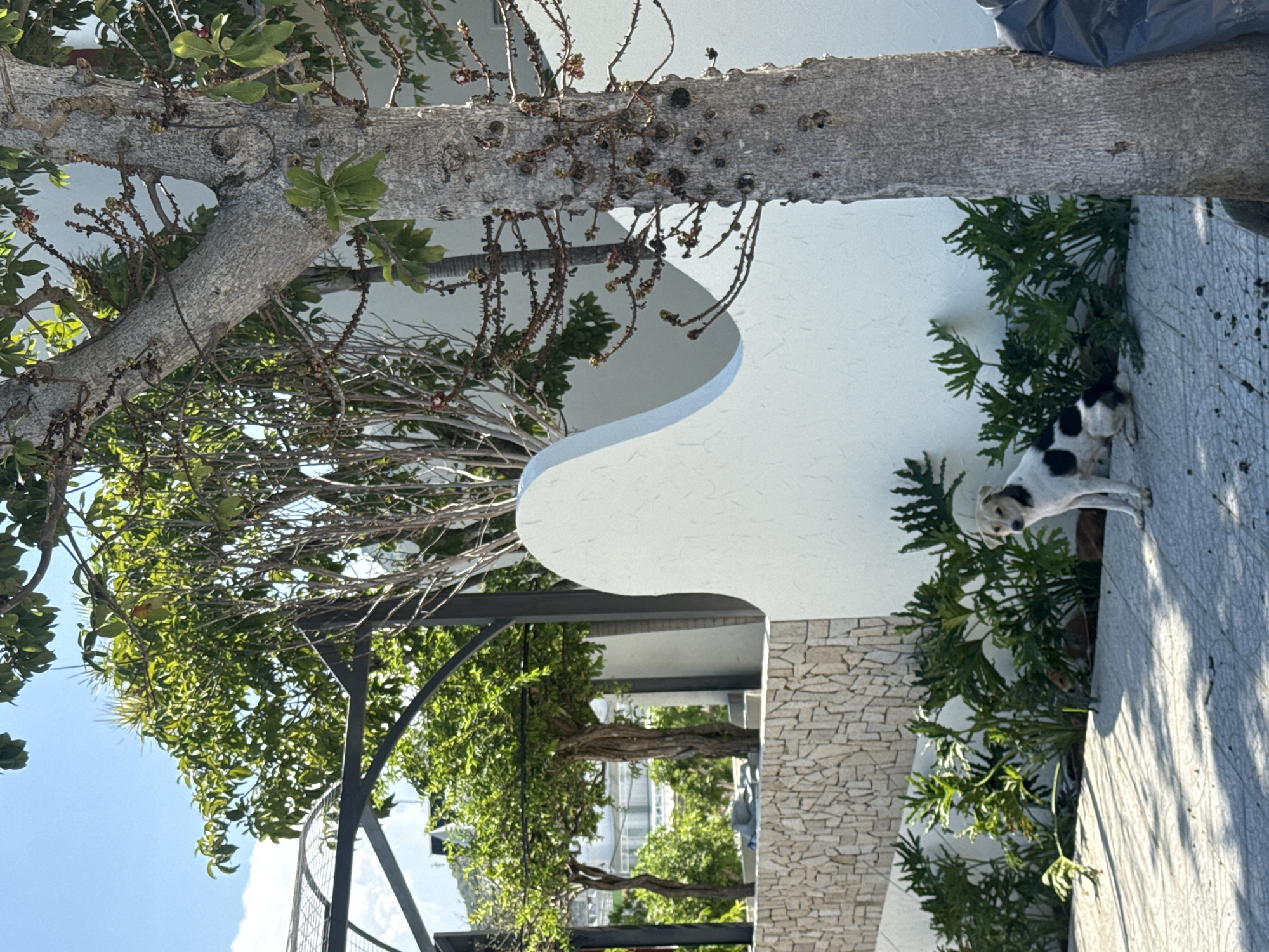 Morning exploration through Nha Trang's coastal neighborhoods and cityscape