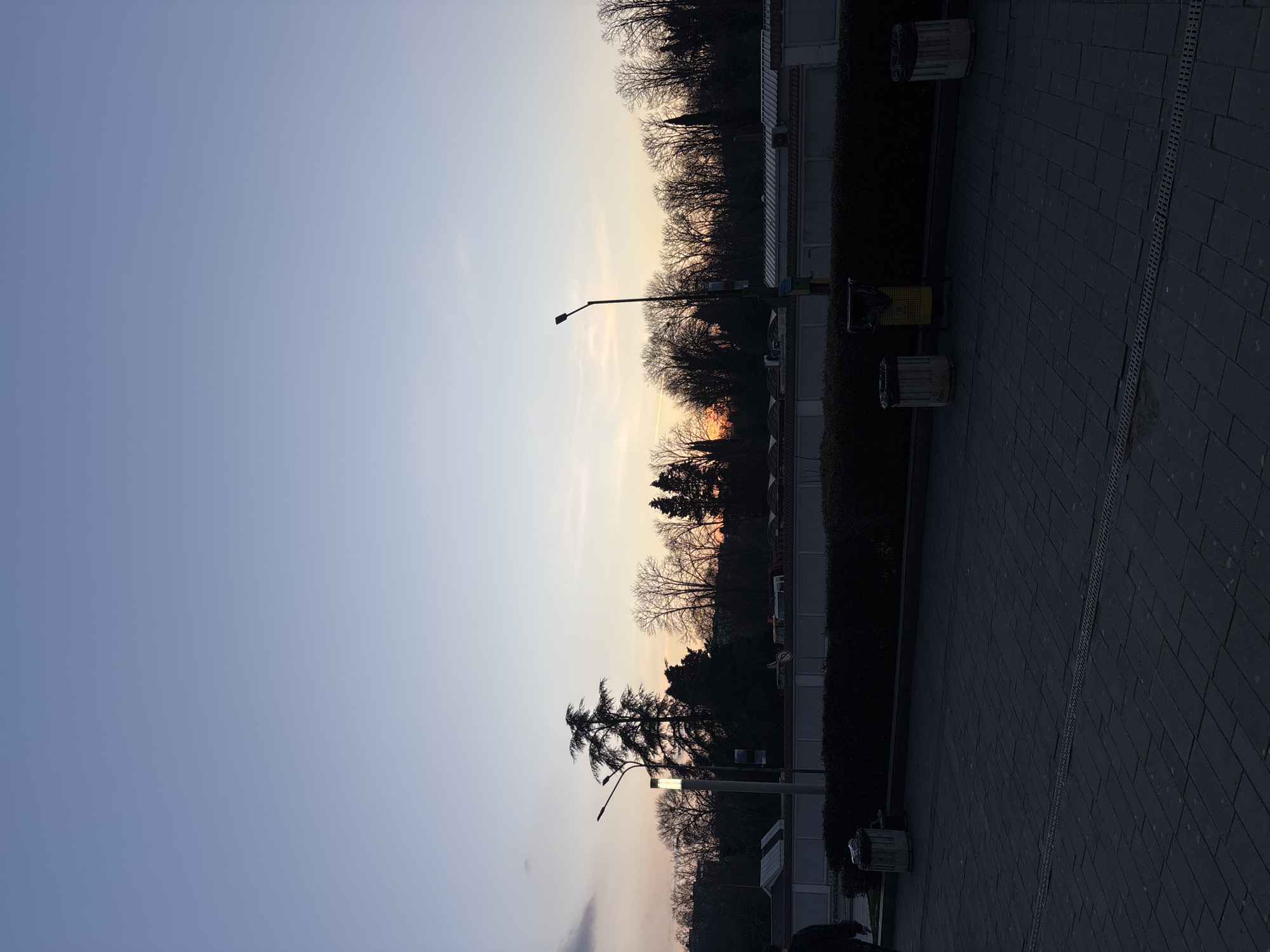 Evening moments captured in Varna: sunset, flowers, personal items