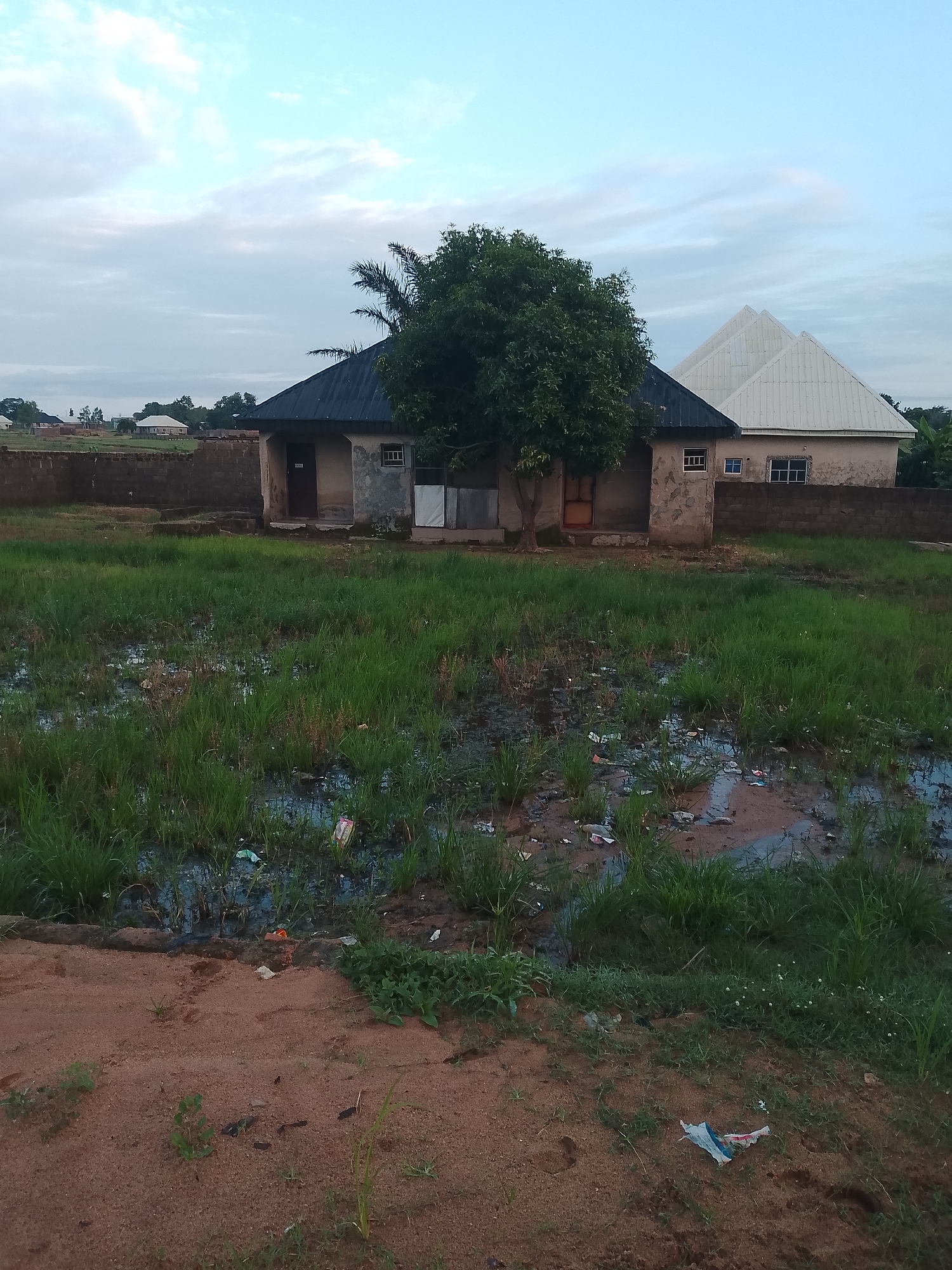 Ground-level look at a rural settlement with mixed media overlays