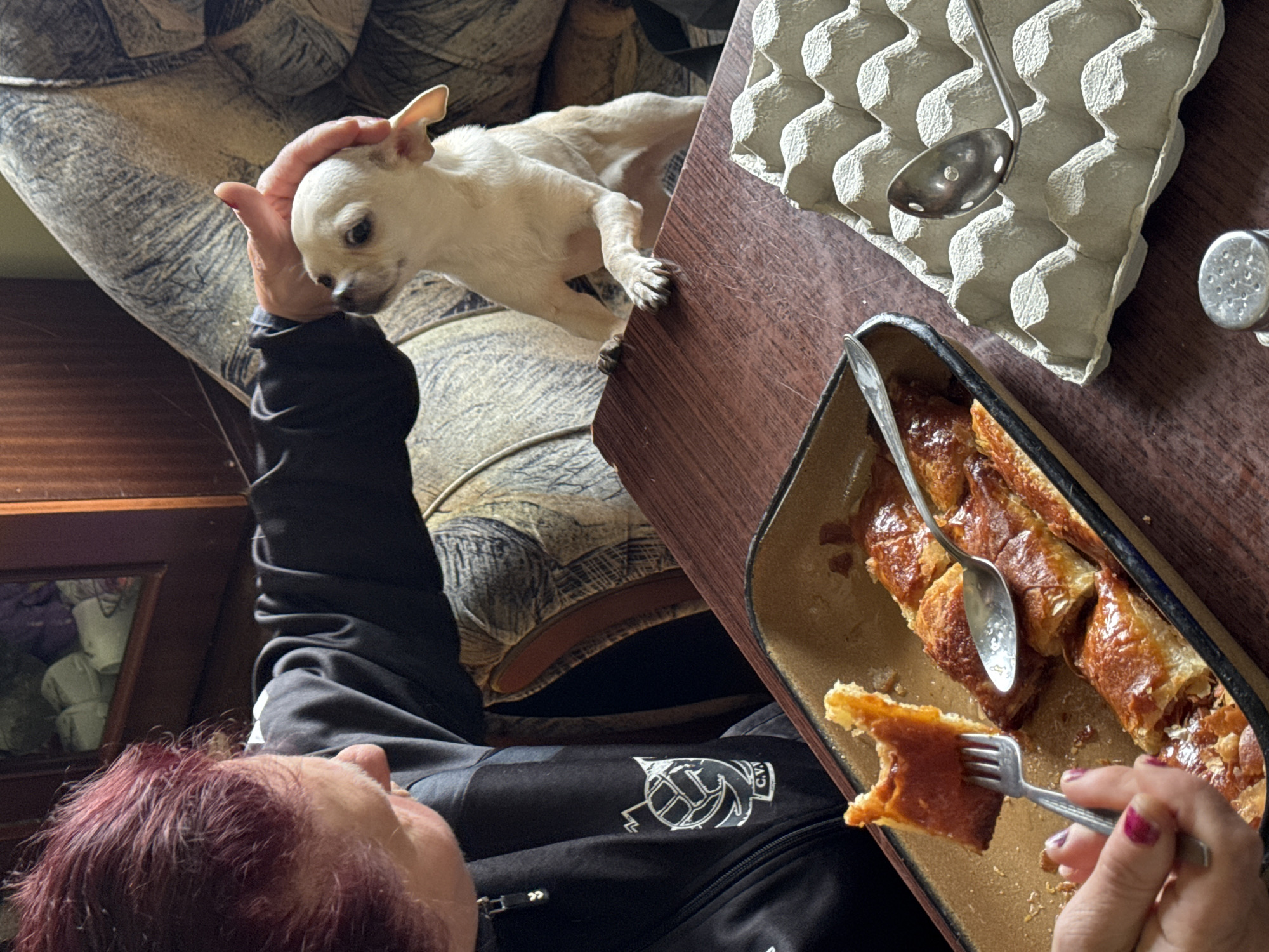 Woman pets small dog on table in Karlovo home