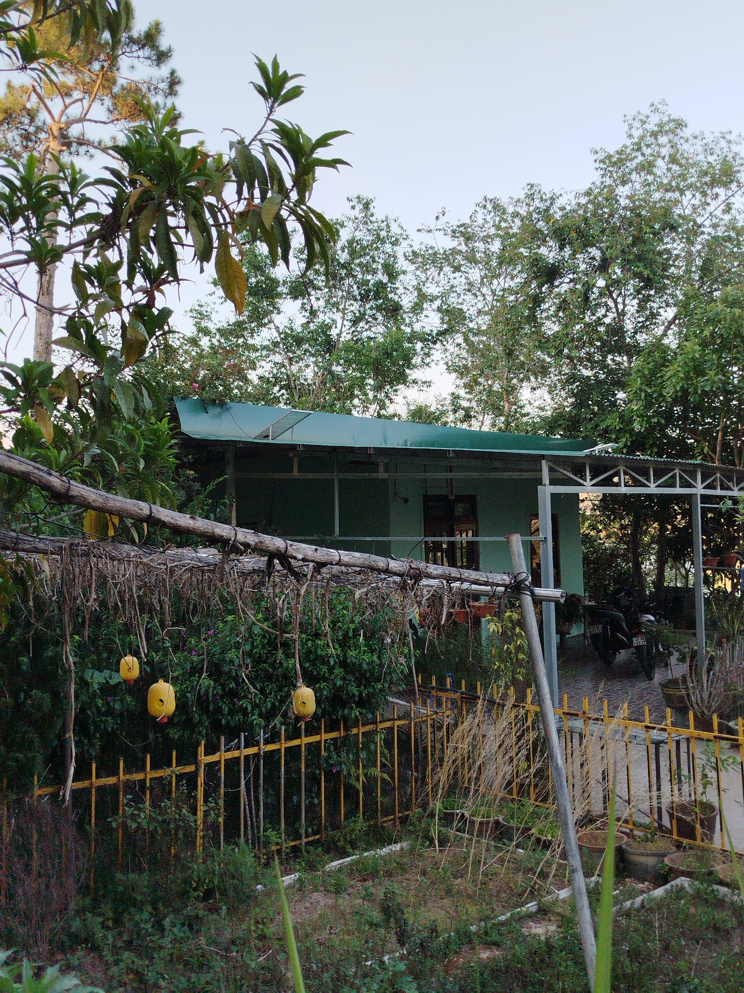 Quiet residential moments captured across Da Lat neighborhoods