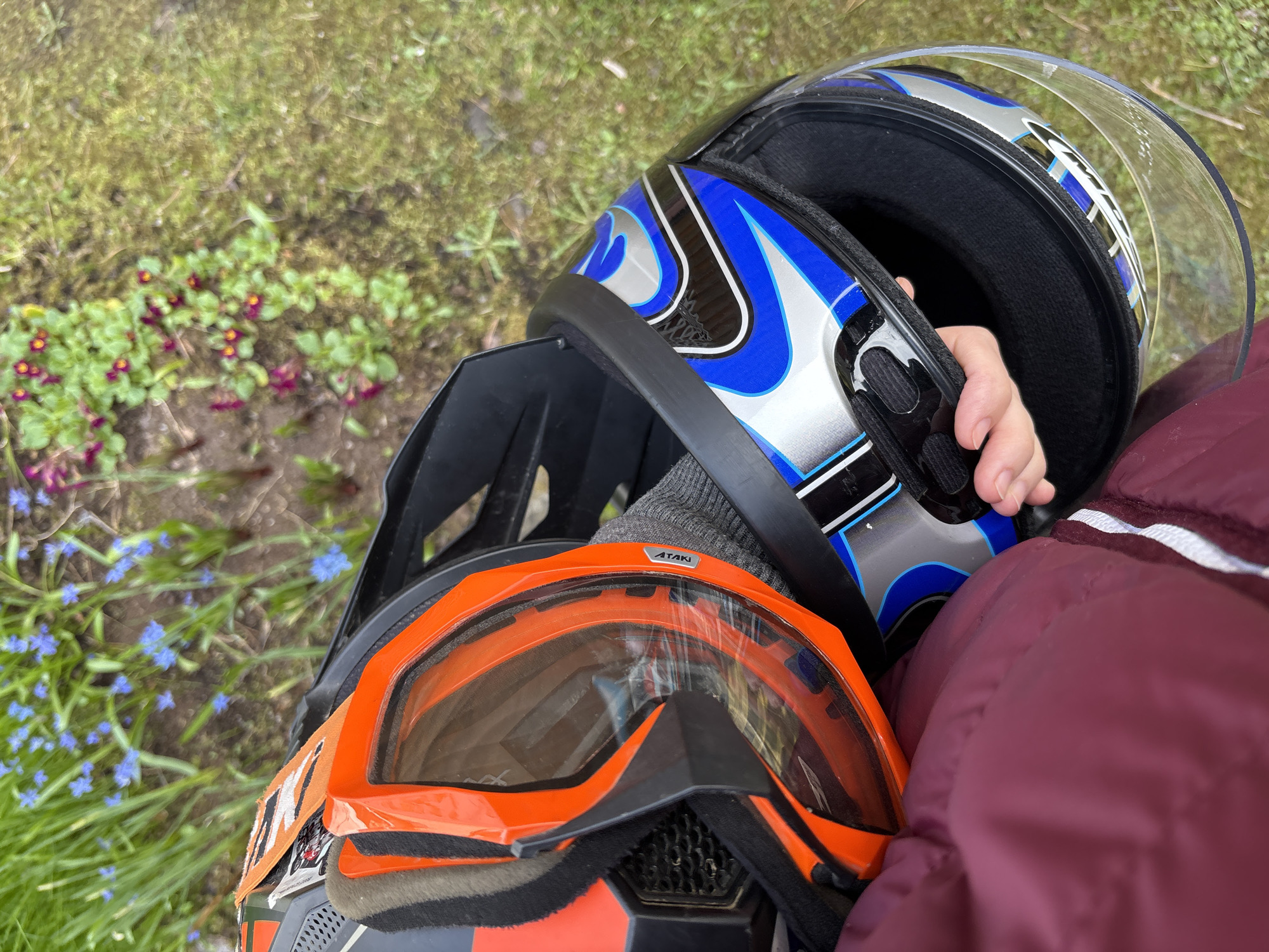Spring morning activities captured across Leningrad Oblast households