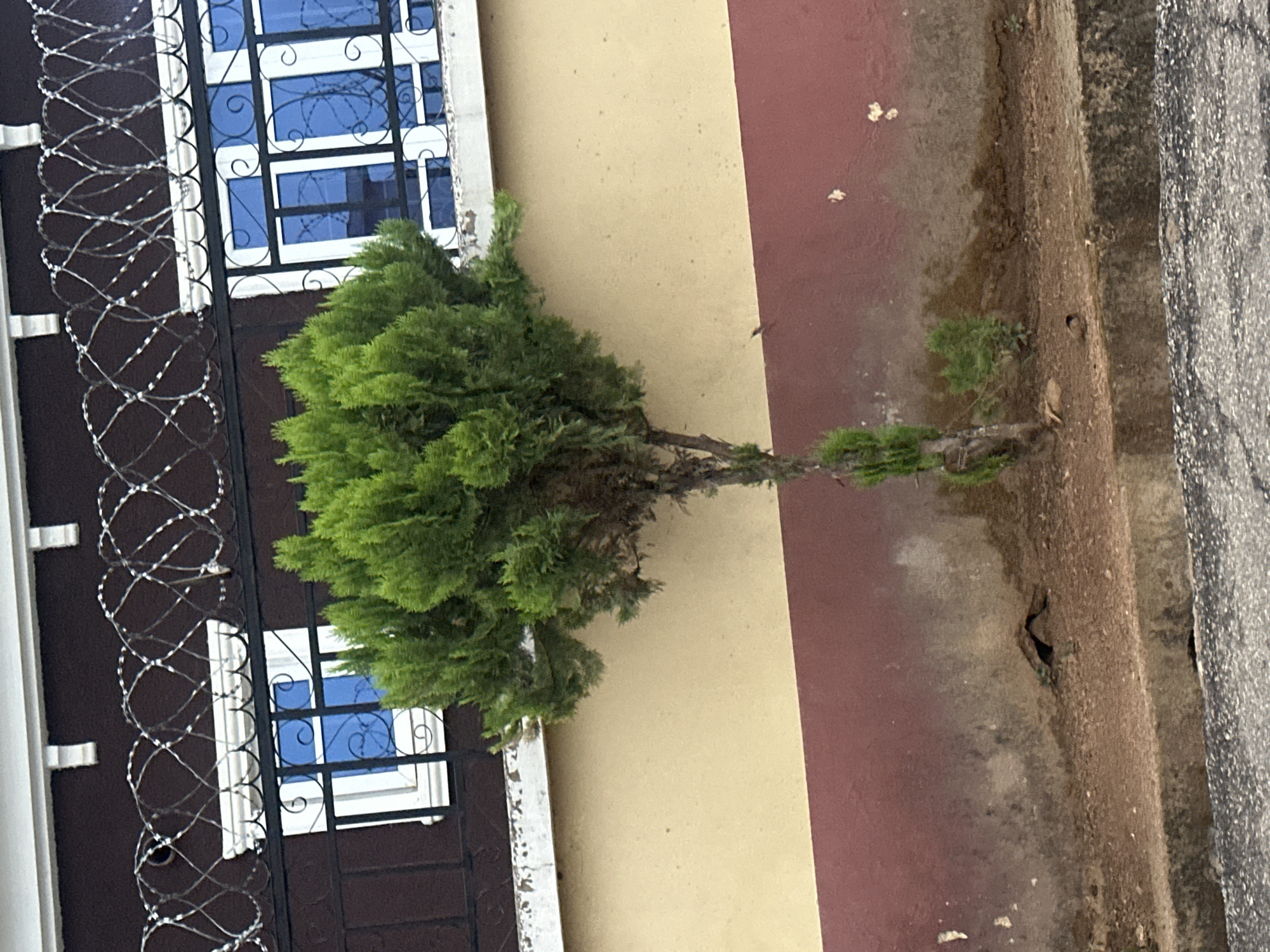 Overcast evening street scenes documented across Jos, Nigeria
