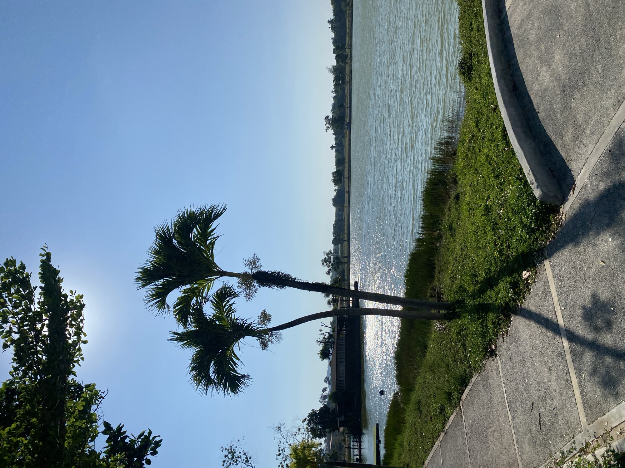 Morning moments captured in Choeng Thale: lakeside views, dessert preparation