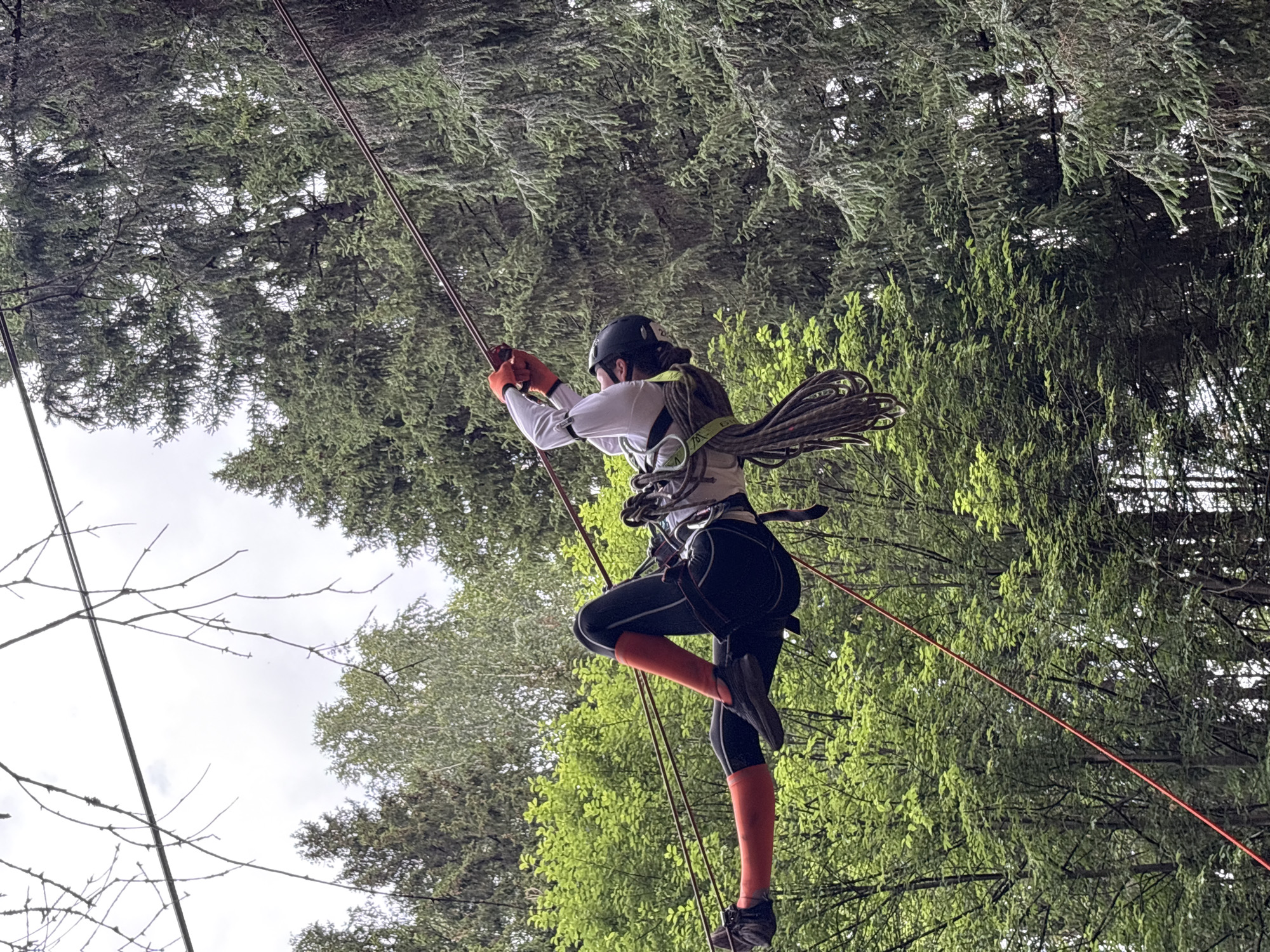 Ropes course session in the woods of Sergino, Russia