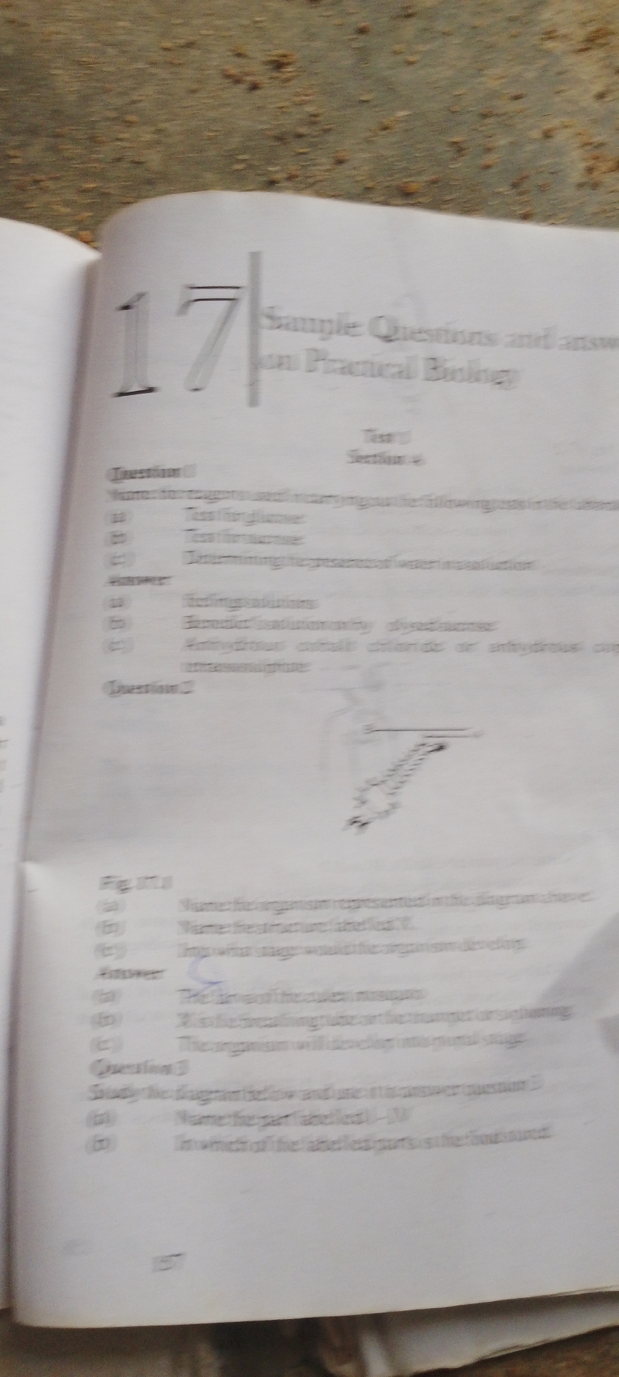 Street life and biology study materials from Jalingo, Nigeria