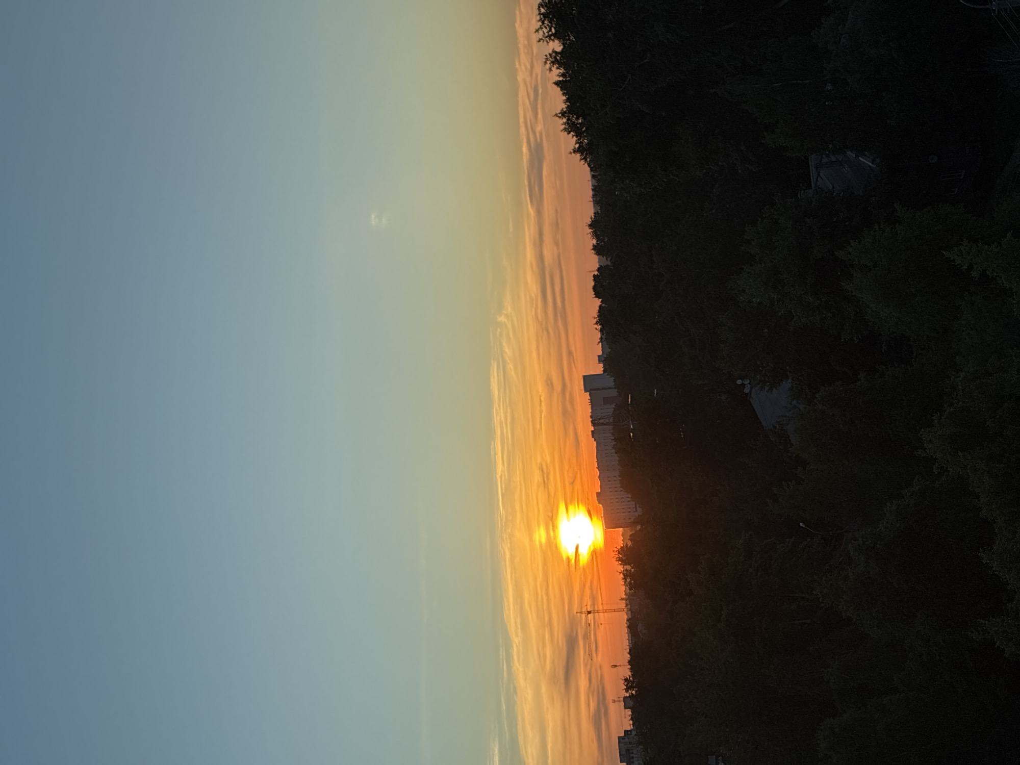 Sunset cityscapes and rose bouquets captured across three-hour span