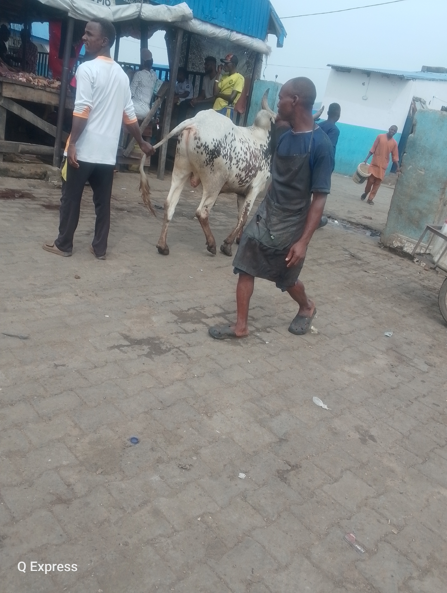 Routine meat market operations documented in Sabojibi, Nigeria