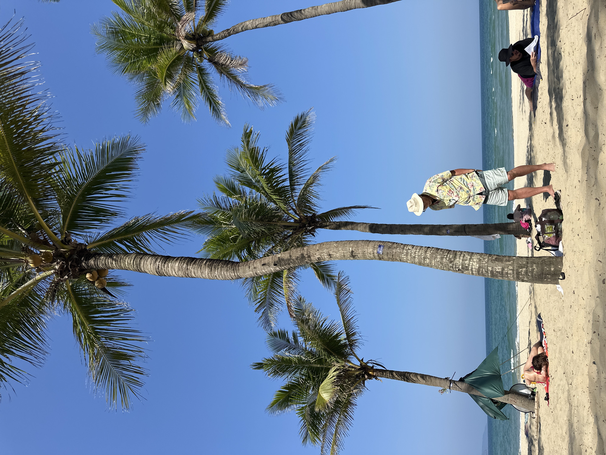 Morning scenes captured across Đà Nẵng beaches and streets