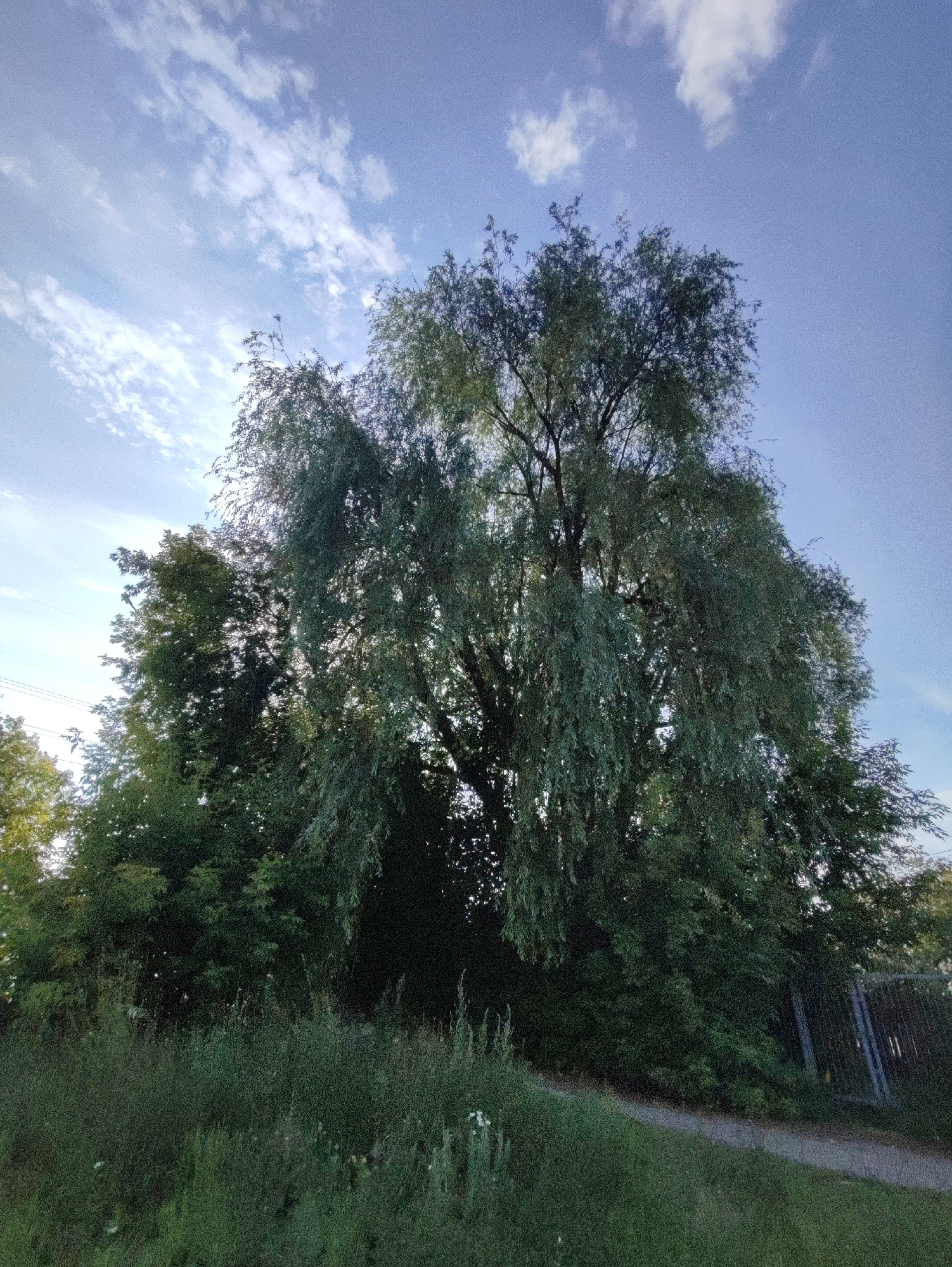 Afternoon stroll through green spaces in Chaikovsky, Russia