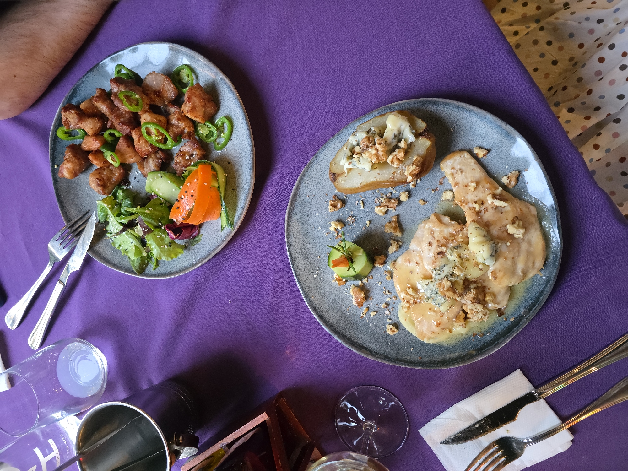 Dinner and cat documented in Pazardzhik, Bulgaria
