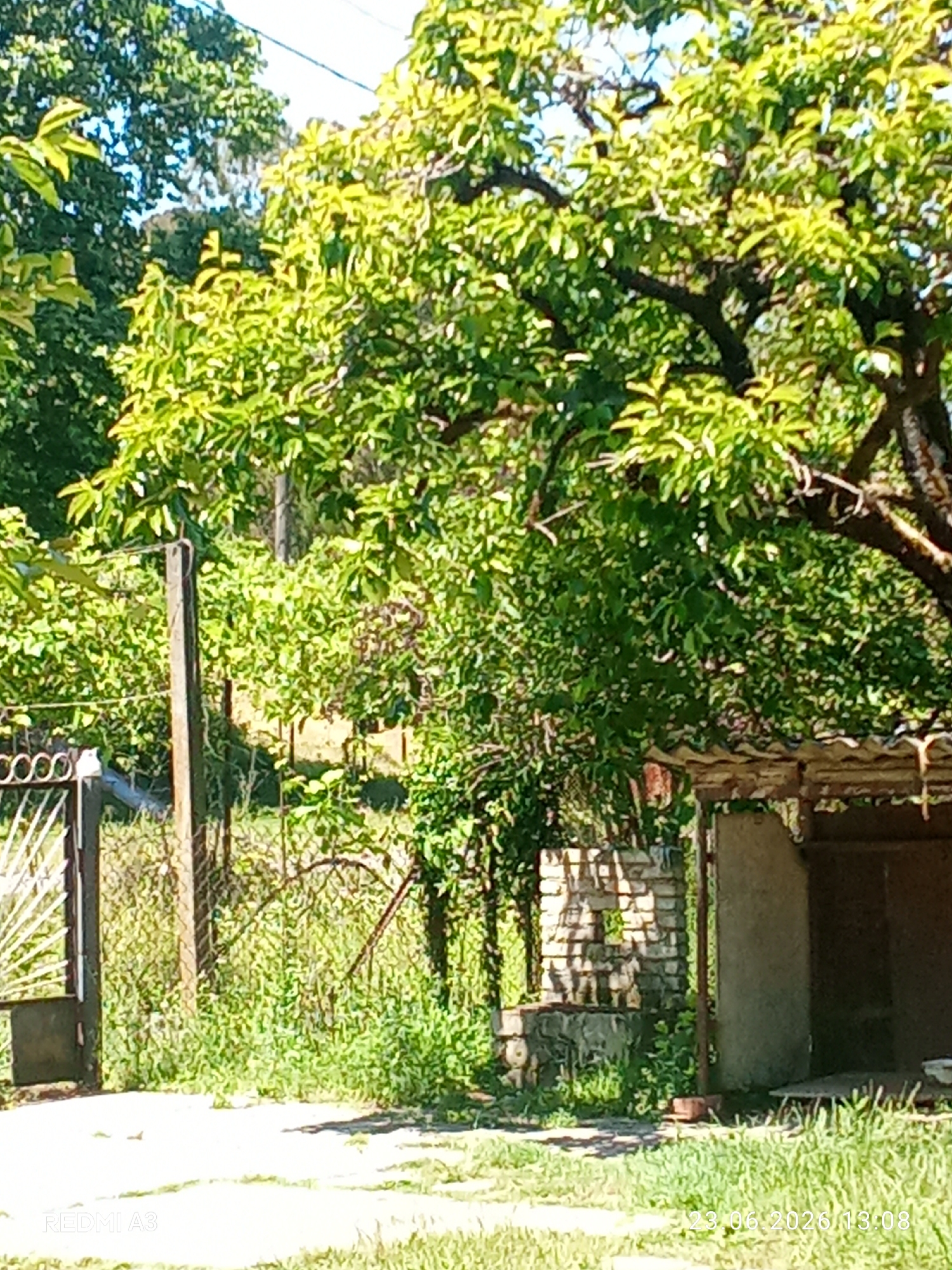 Car parked roadside amid lush greenery in Pshap, Abkhazia