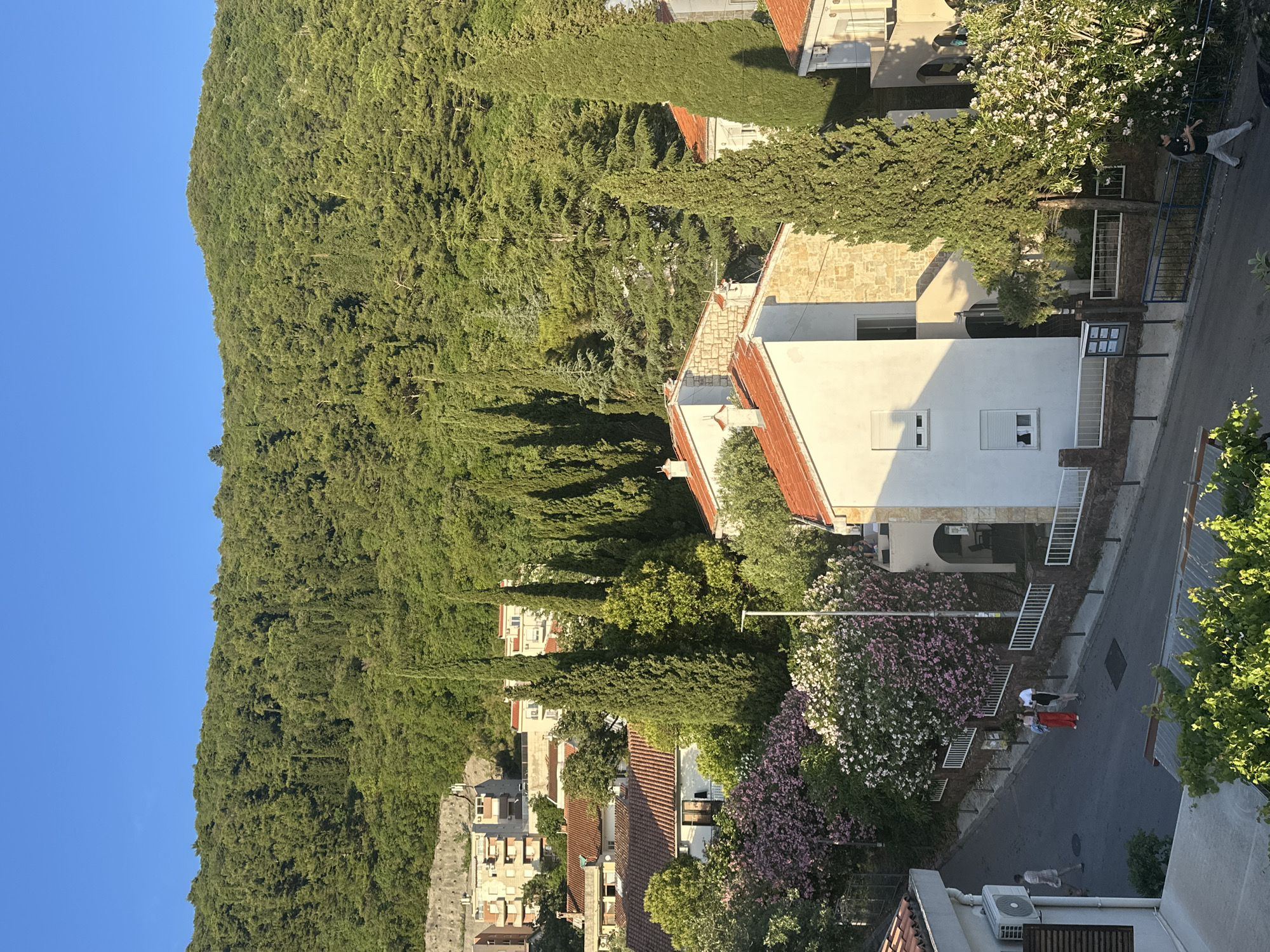 Afternoon snapshots capture quiet moments with cat in Budva