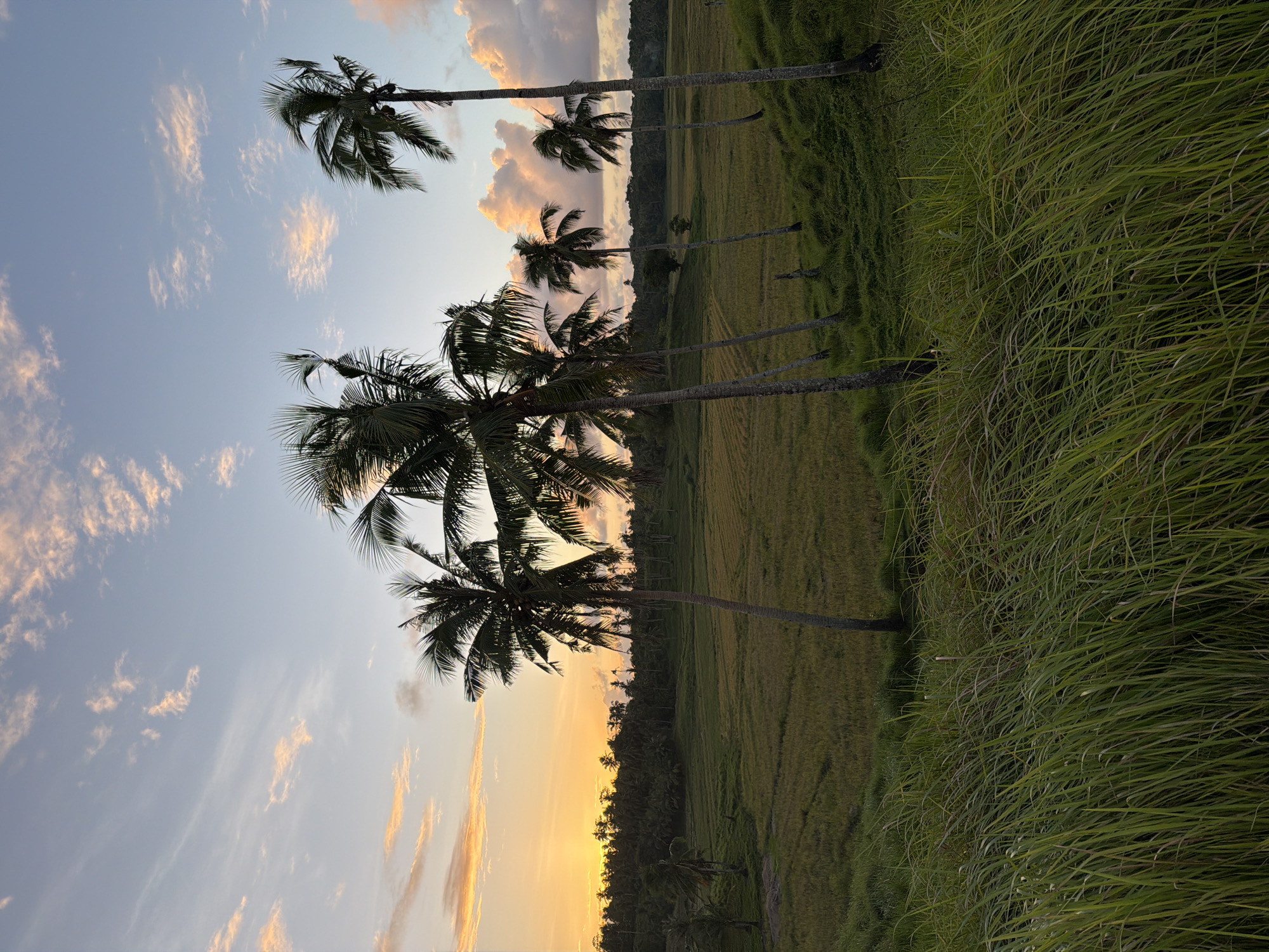 Morning rural life documented in General Luna, Philippines