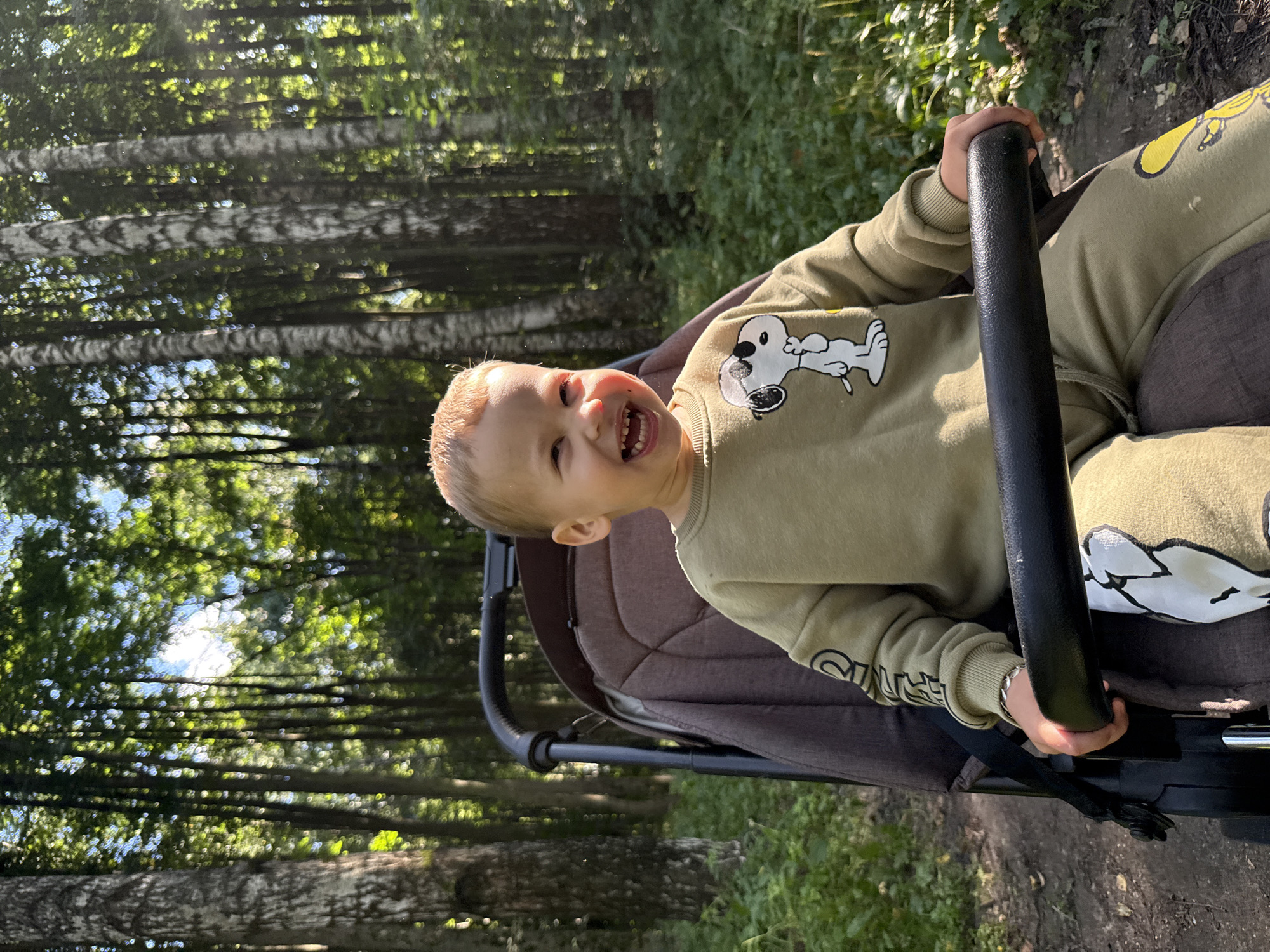 Casual forest outing with kids near Dumino, Russia