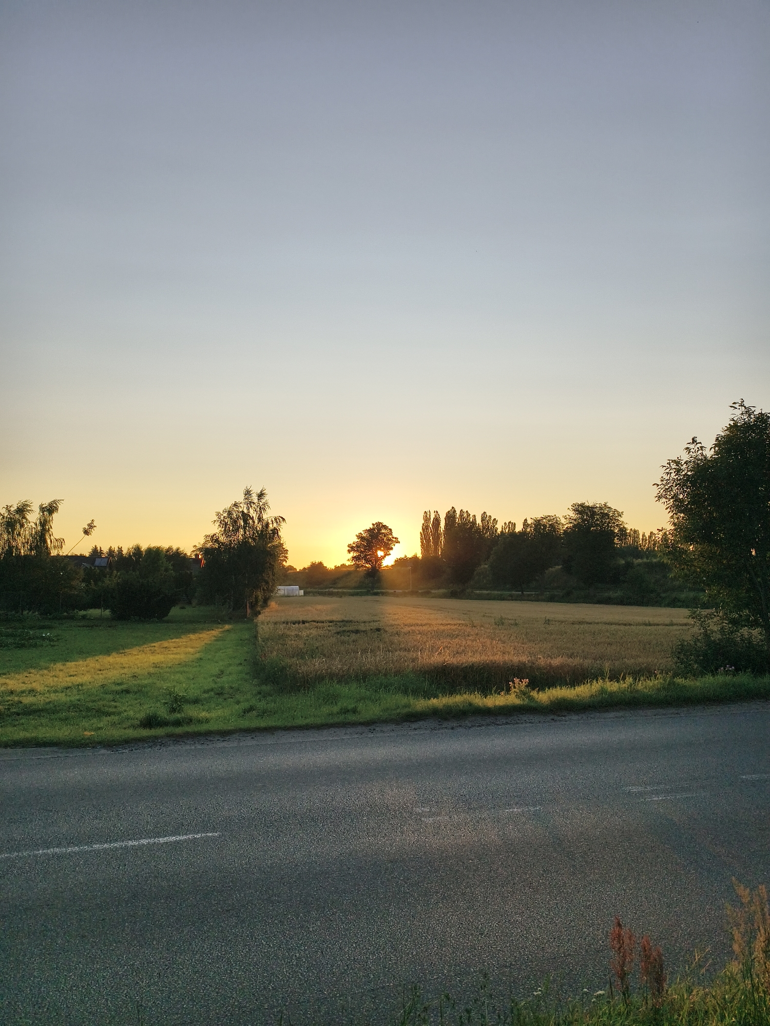 Late-night summer stroll through Tczew's streets and greenery