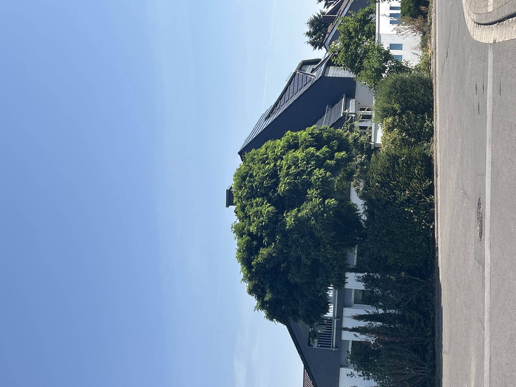 Quiet suburban morning with streets, gardens, and occasional movement