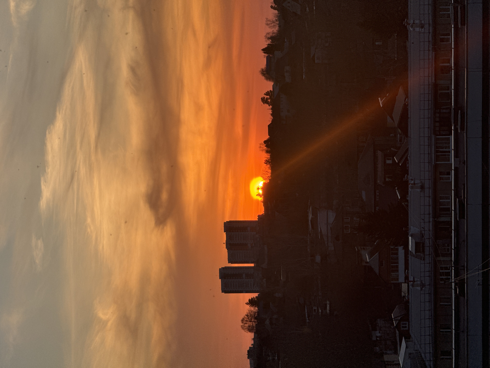 Sunset and pet hamster captured in Krasnoyarsk afternoon