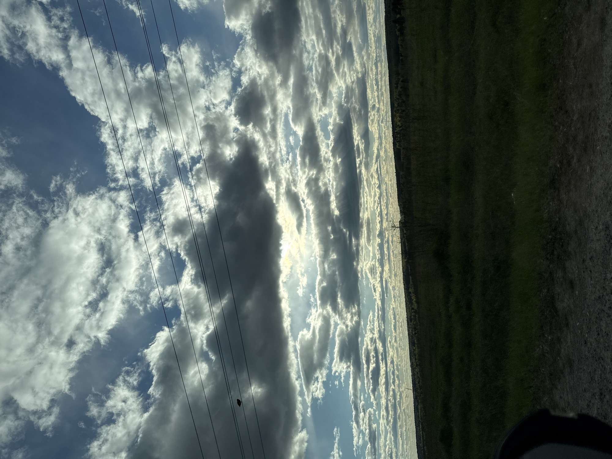 Partly cloudy skies observed over rural Пихтовка, Russia