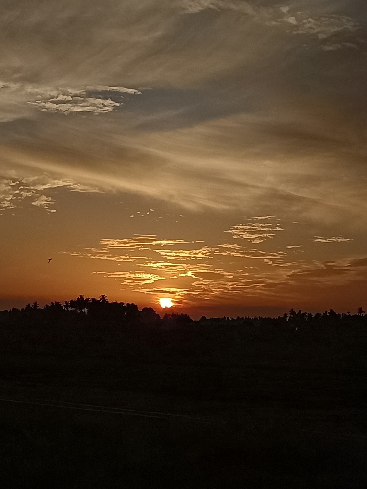 Sunset fading over rural Meunasah Raya, Indonesia