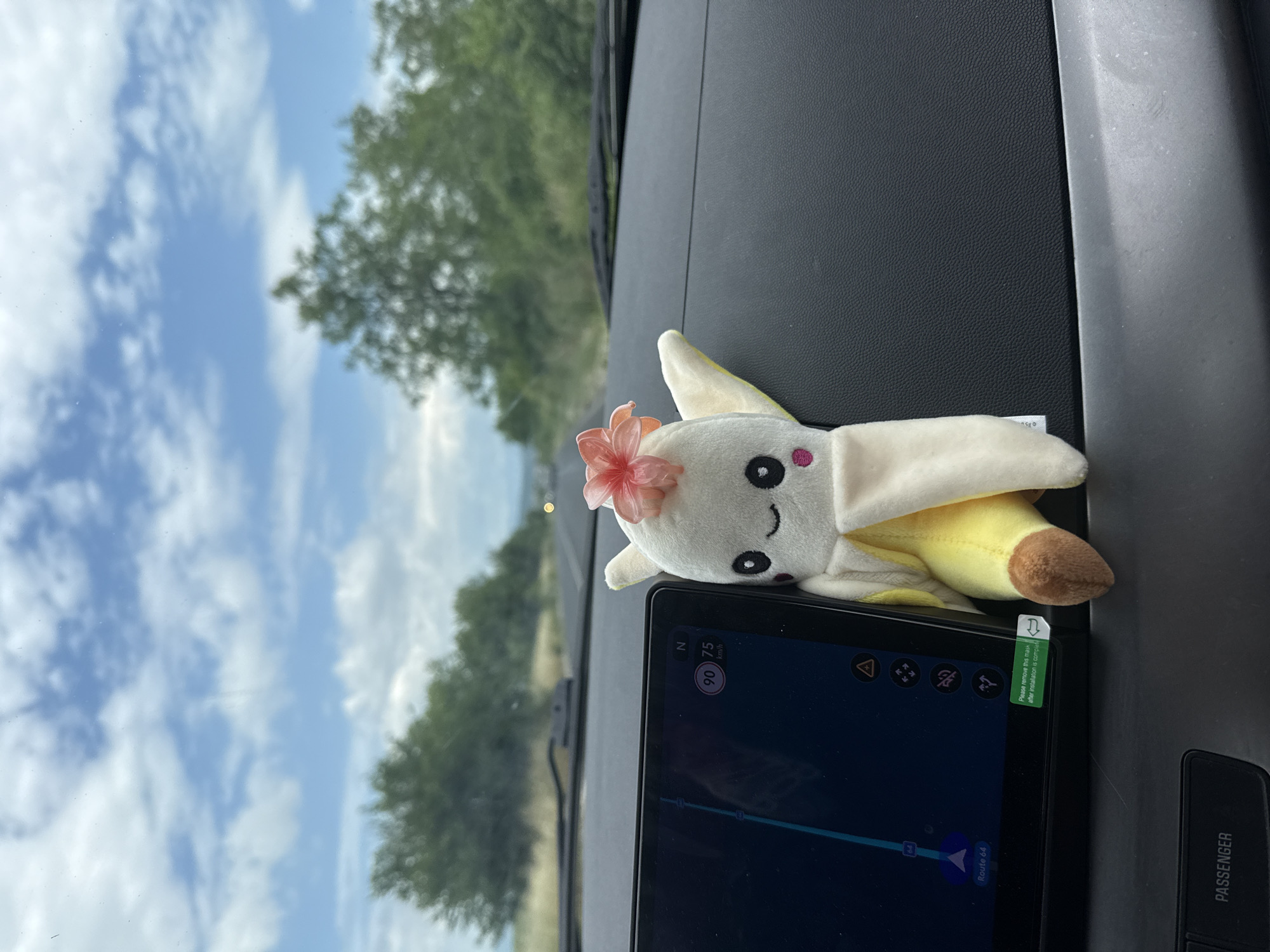 Toy rabbit spotted on car navigation system in Bulgaria