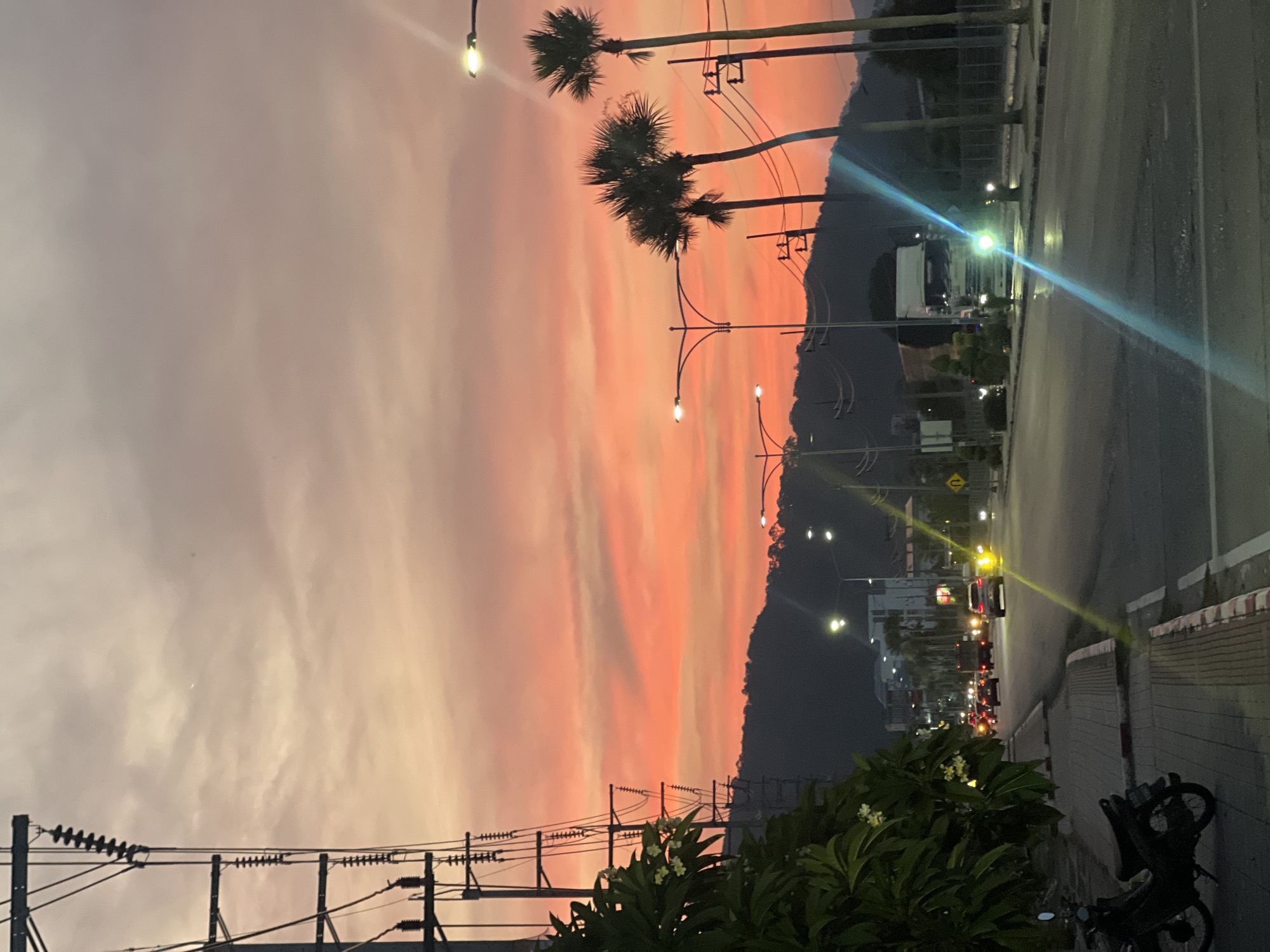 Colorful sunset observed over Phuket City with palm trees