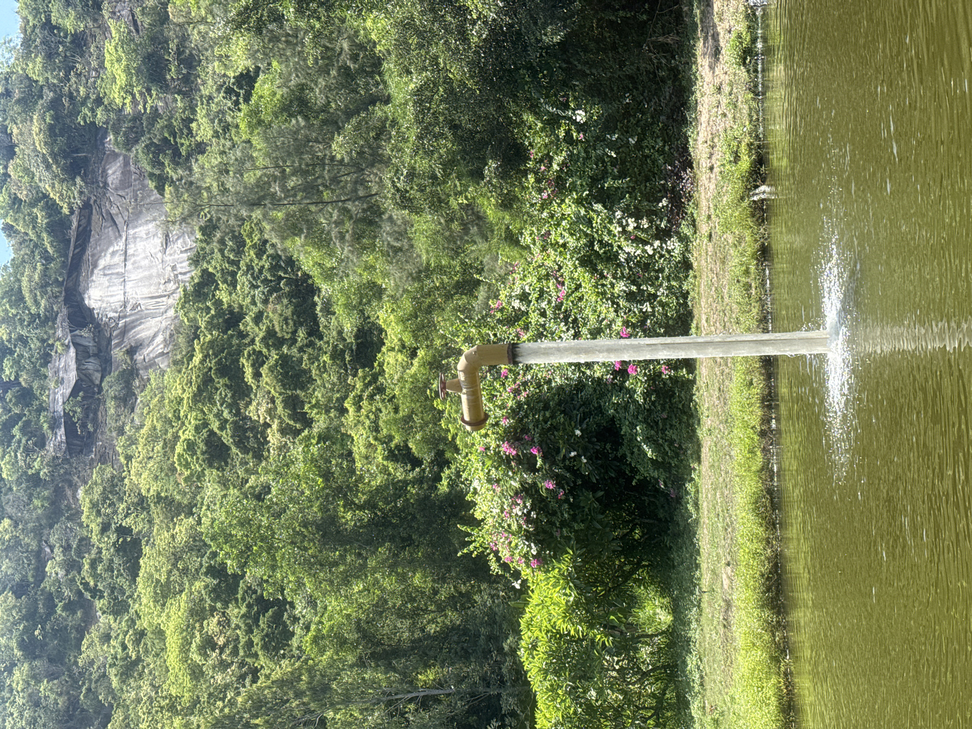 Animals and ornamental ponds at a Hoa Thang wildlife park