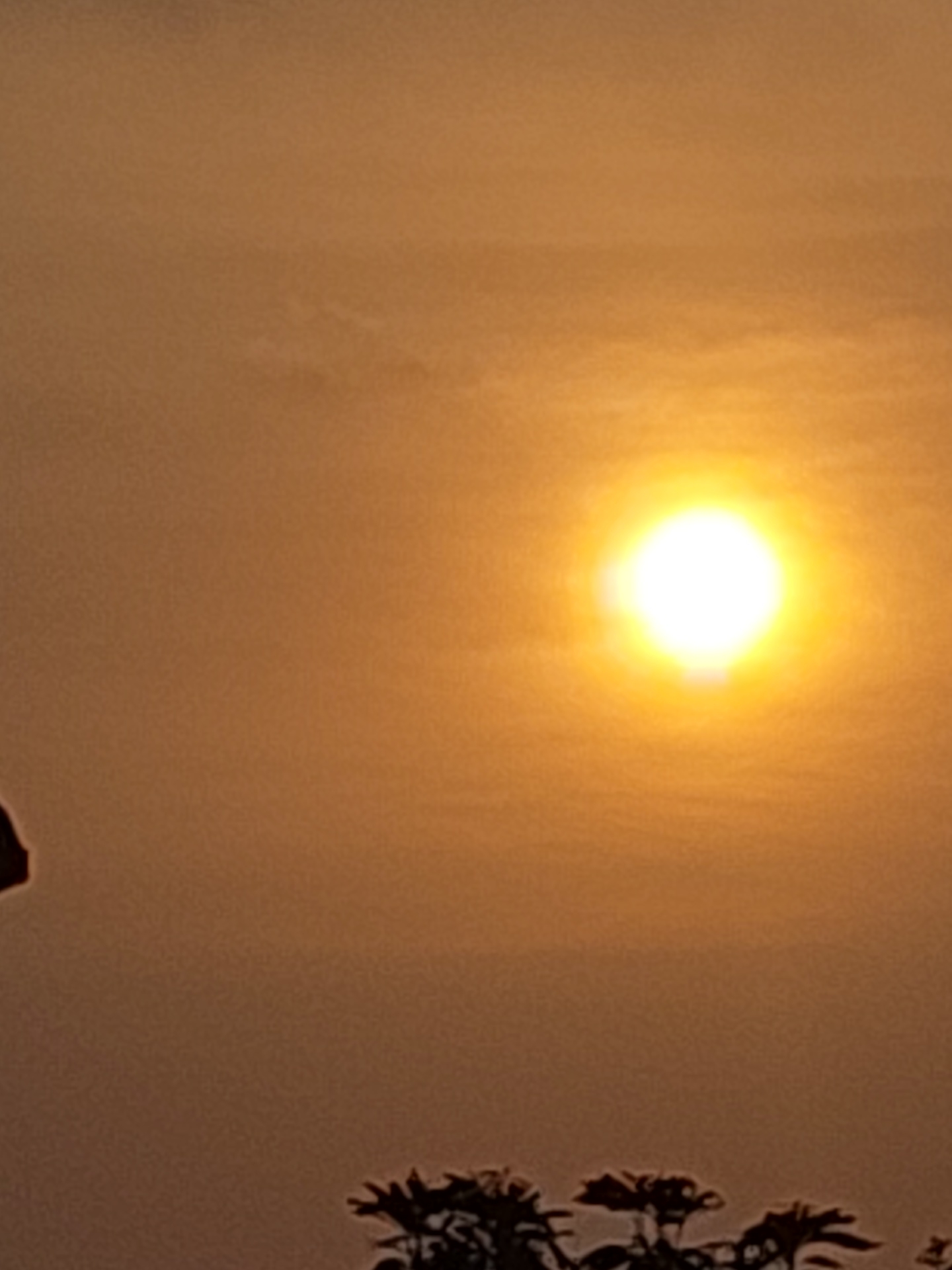 Couple takes sunset selfies on Dhaka rooftop