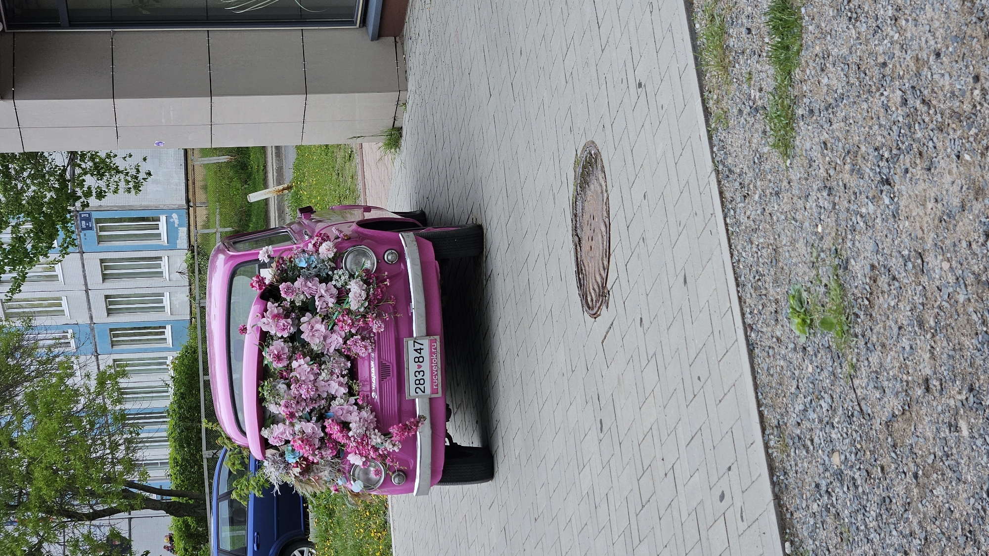 Decorated vehicles spotted in urban park setting Friday afternoon