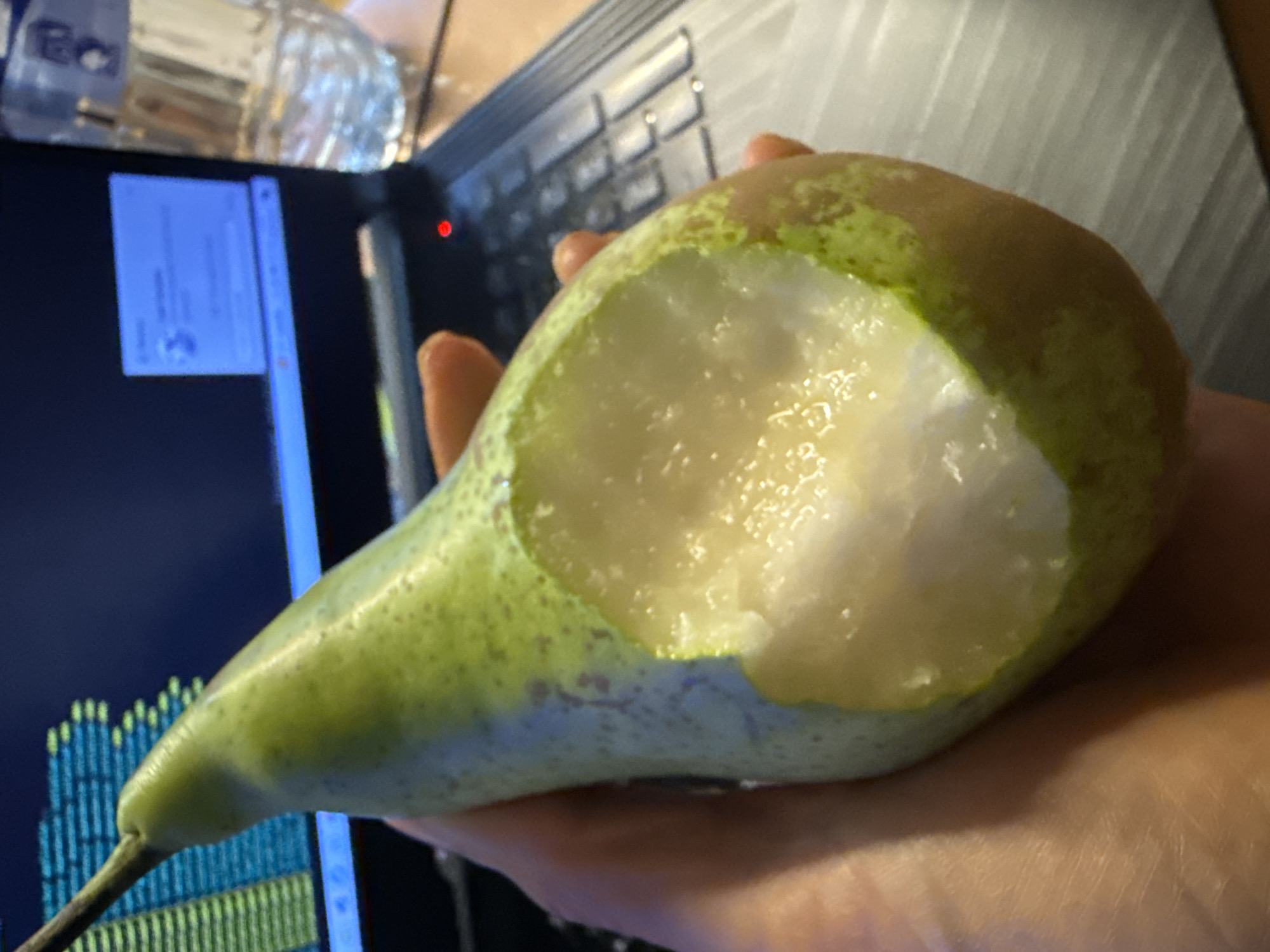 Person eats pear while coding on laptop in Barcelona