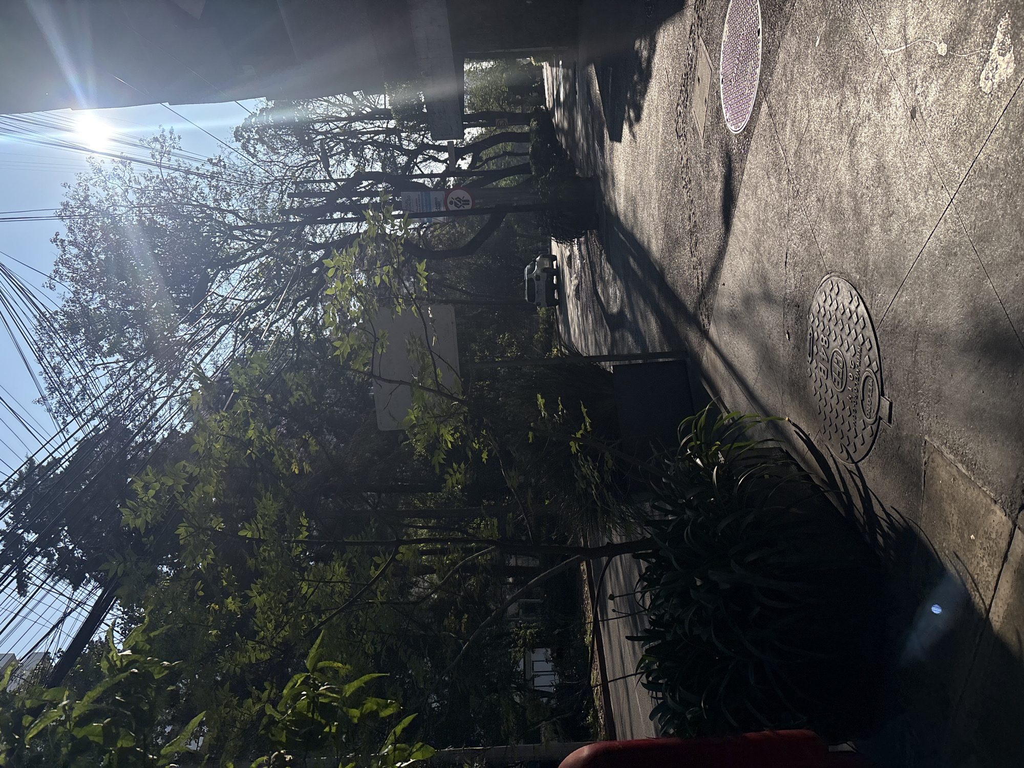 Jogger spotted on flower-lined Mexico City sidewalk Monday afternoon