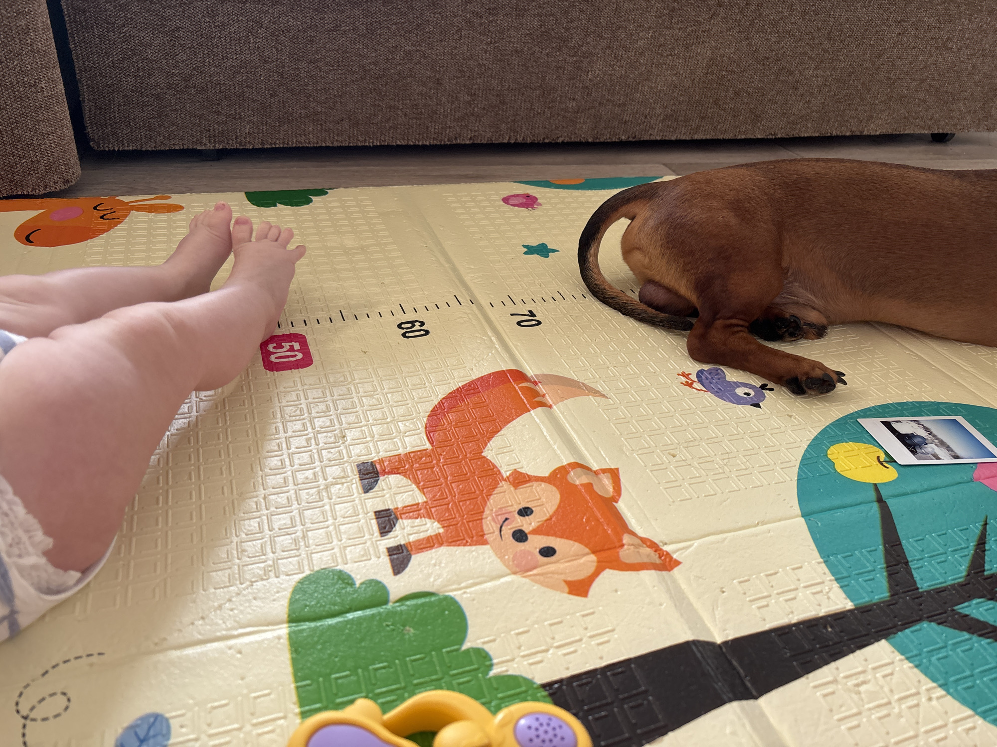 Parent and baby playtime captured in Russian home