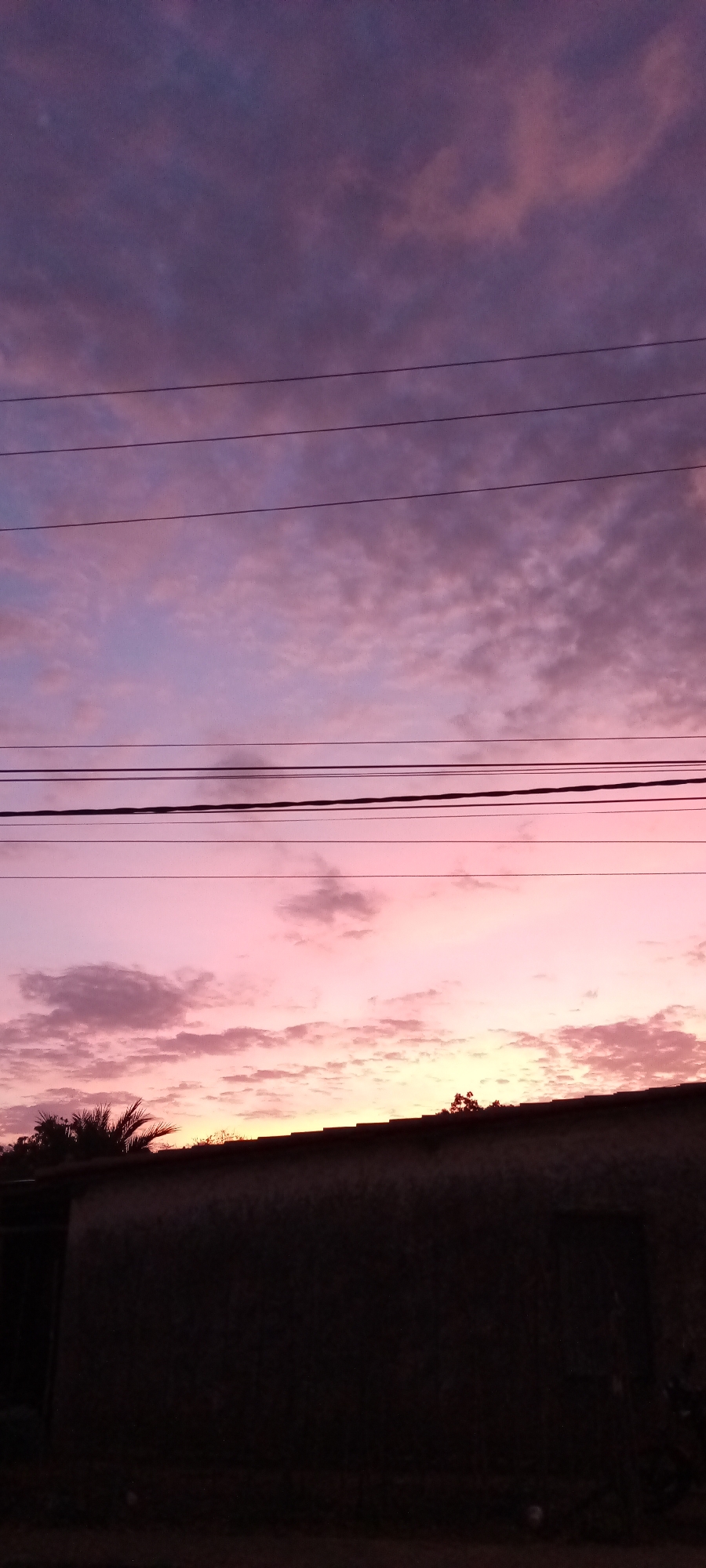 Pink-purple sky display captured over residential area April 19